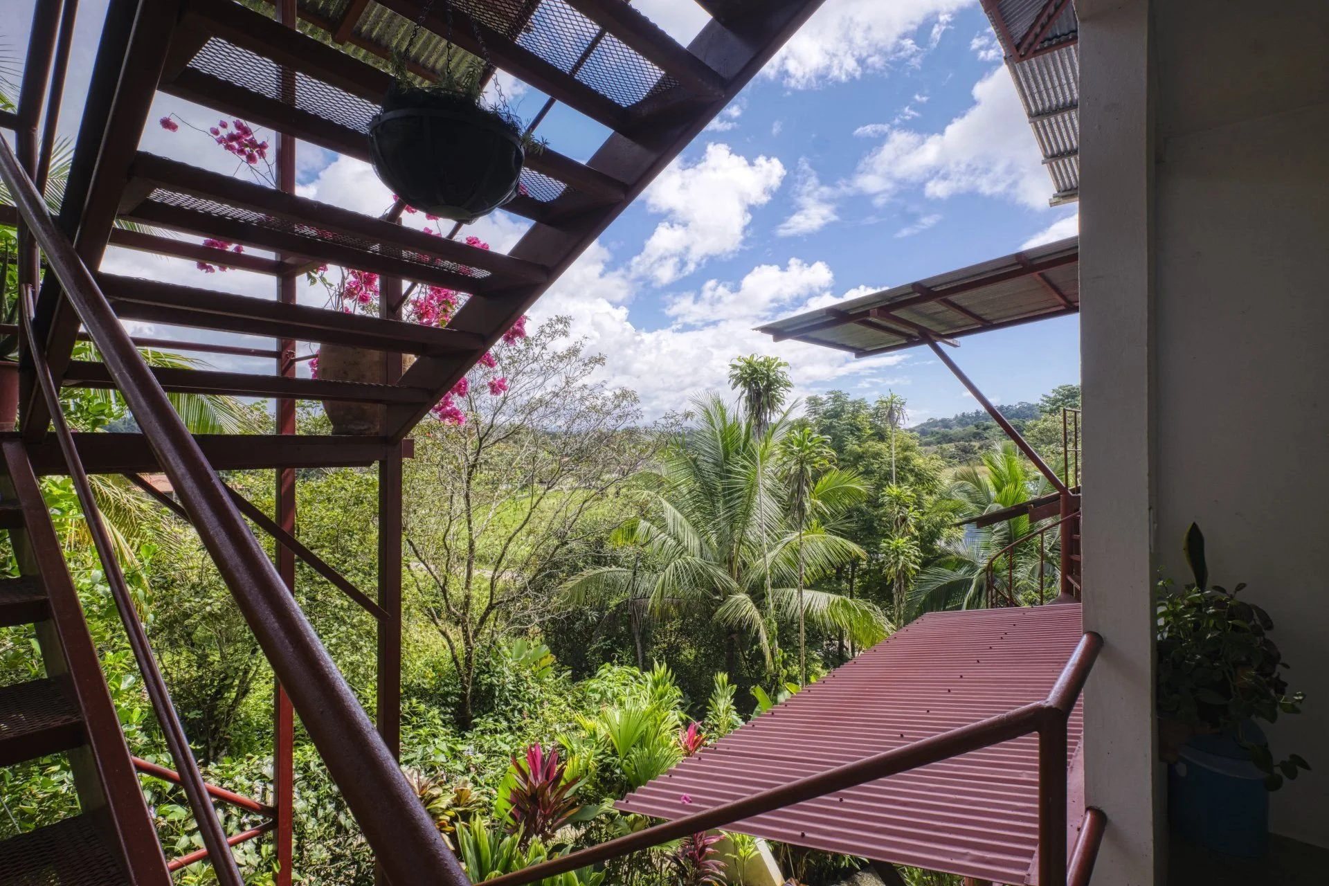 View of a lush green tropical landscape with various trees, overlooking some rooftops, seen from a balcony with a metal staircase and a pink roof.
