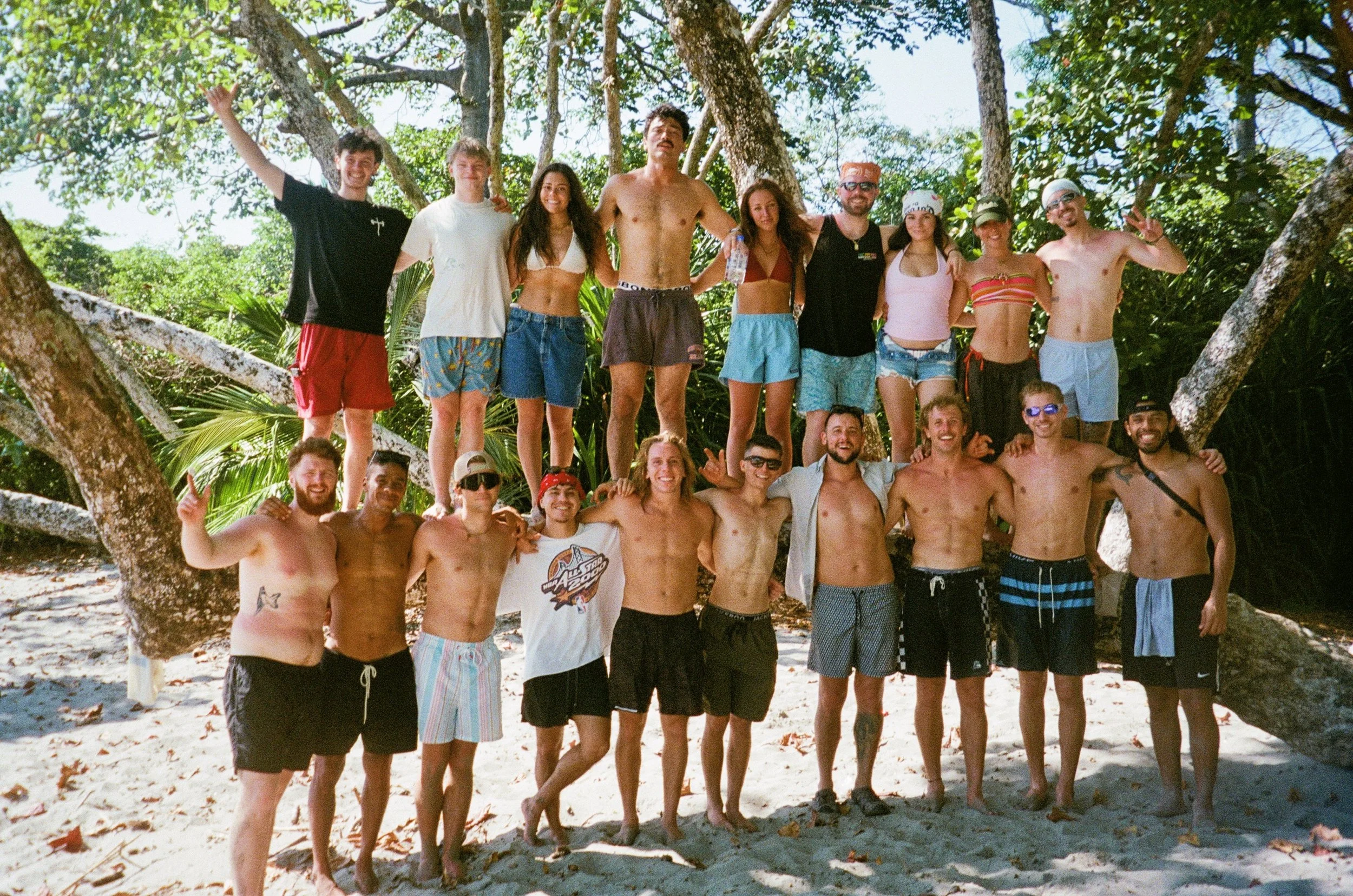 Group of friends posing on a beach in front of trees, some standing on a large branch, smiling and relaxed