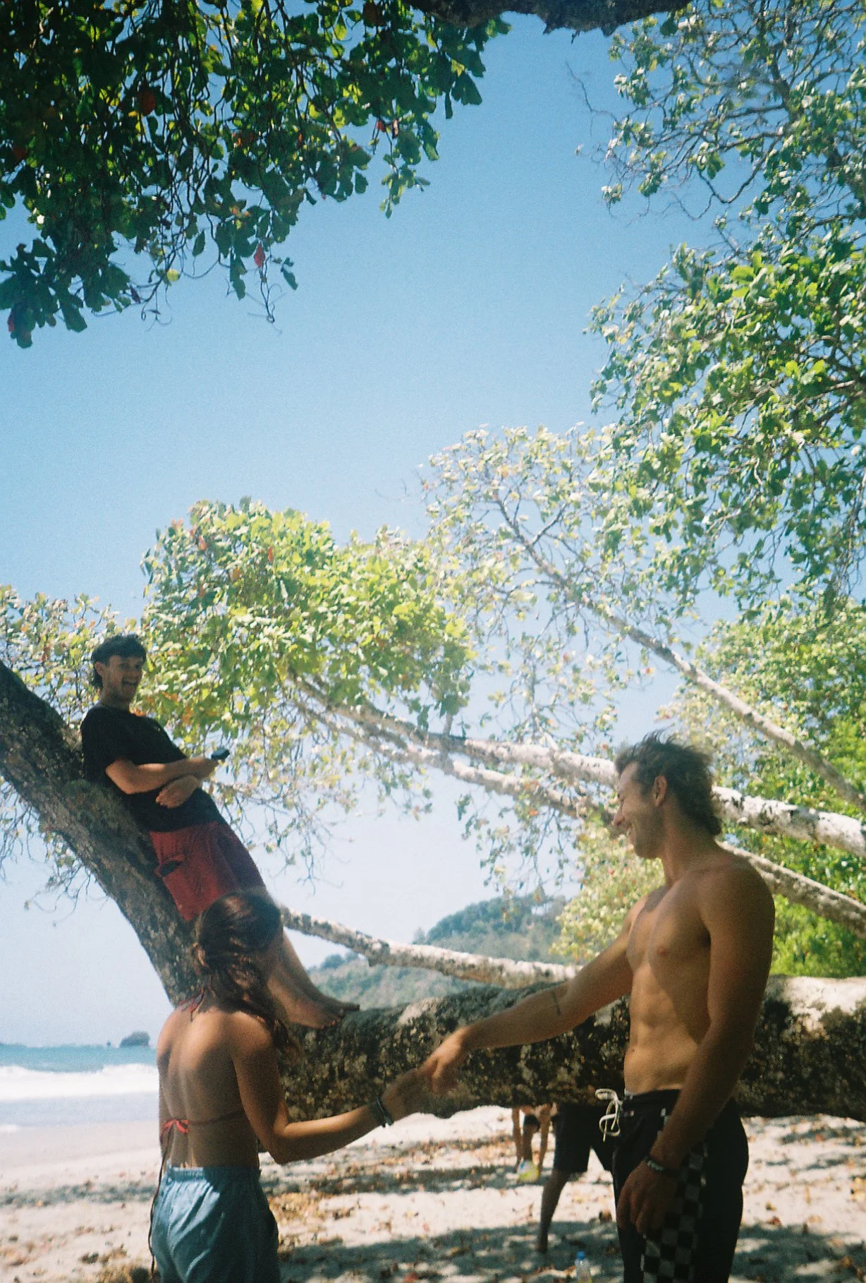 Two young people, a man and a woman, standing under a large tree at the beach, holding hands and smiling at each other. The man is shirtless and wearing checkered shorts, and the woman is wearing a strapless top and shorts. There are other people in the background near the shore.