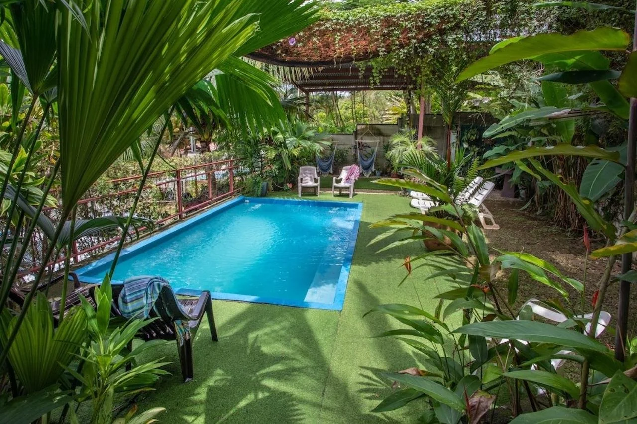 A small backyard with a rectangular swimming pool surrounded by green tropical plants and trees. There are several lounge chairs on the grass, some under a shaded area with hanging plants, and two chairs with towels draped over them.