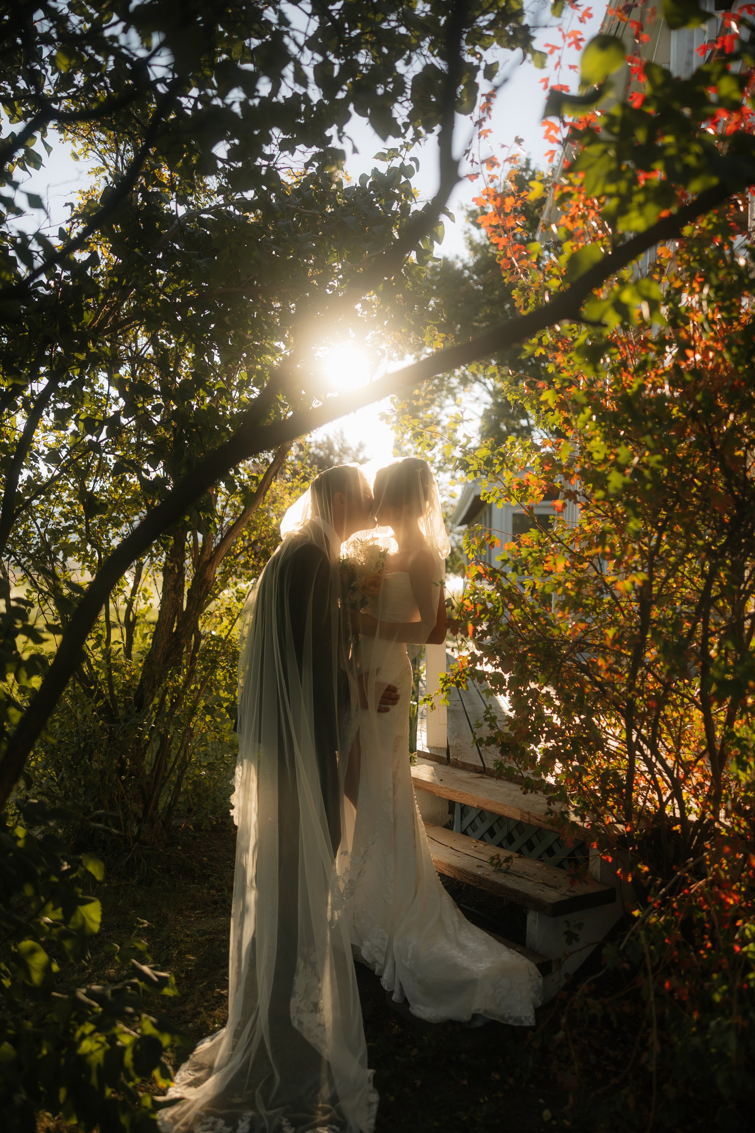 A bride and groom in wedding attire sharing a kiss outdoors during sunset, surrounded by trees and foliage with warm sunlight filtering through.