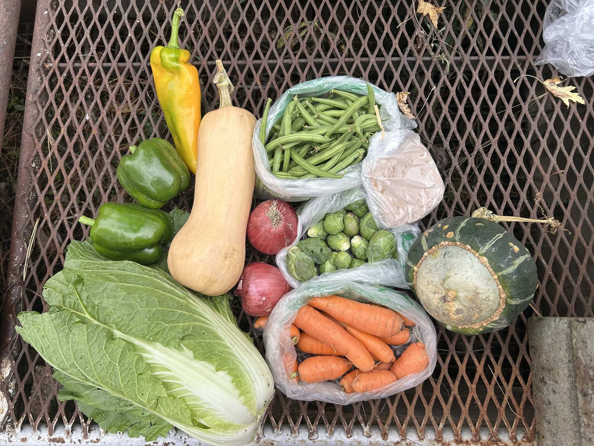 Fall CSA Share
