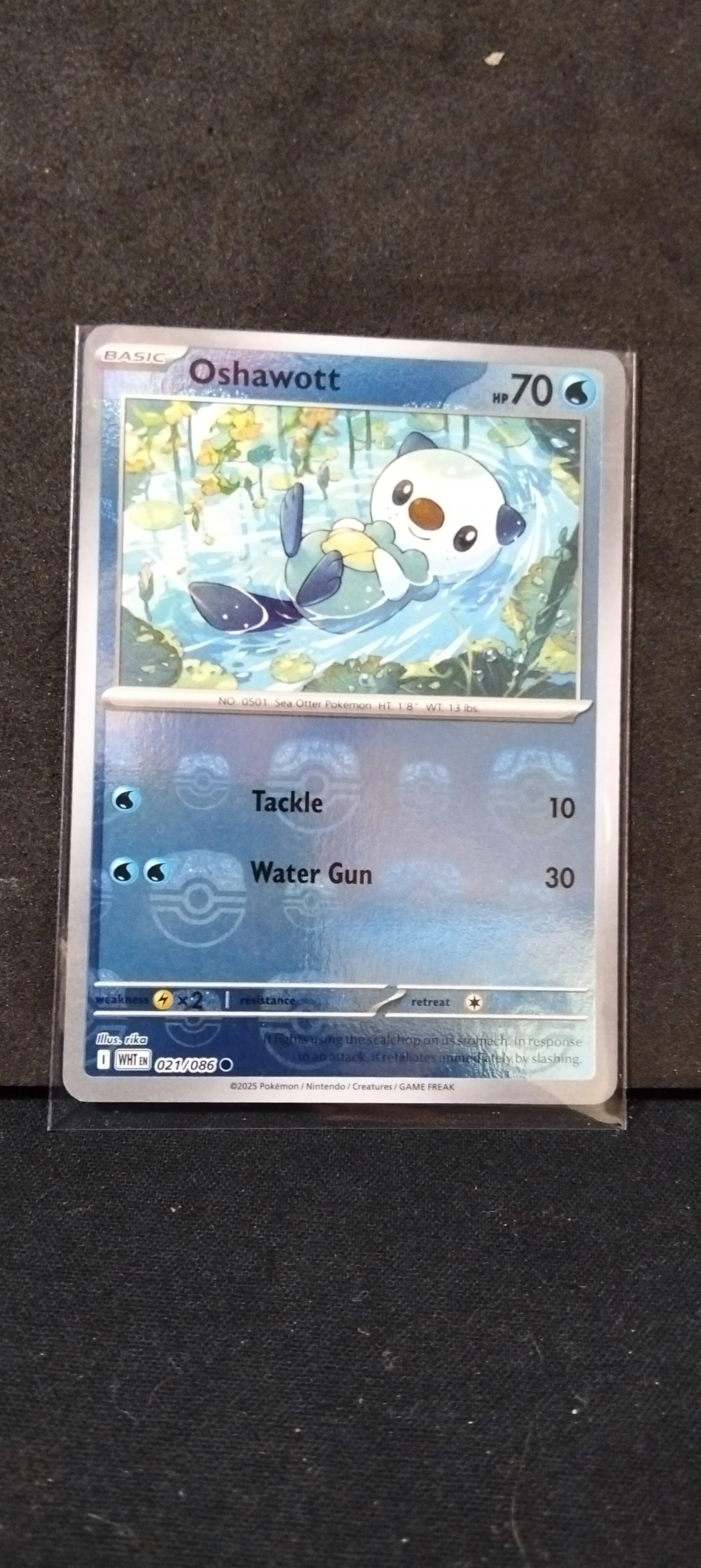 Oshawott Master Ball Rare