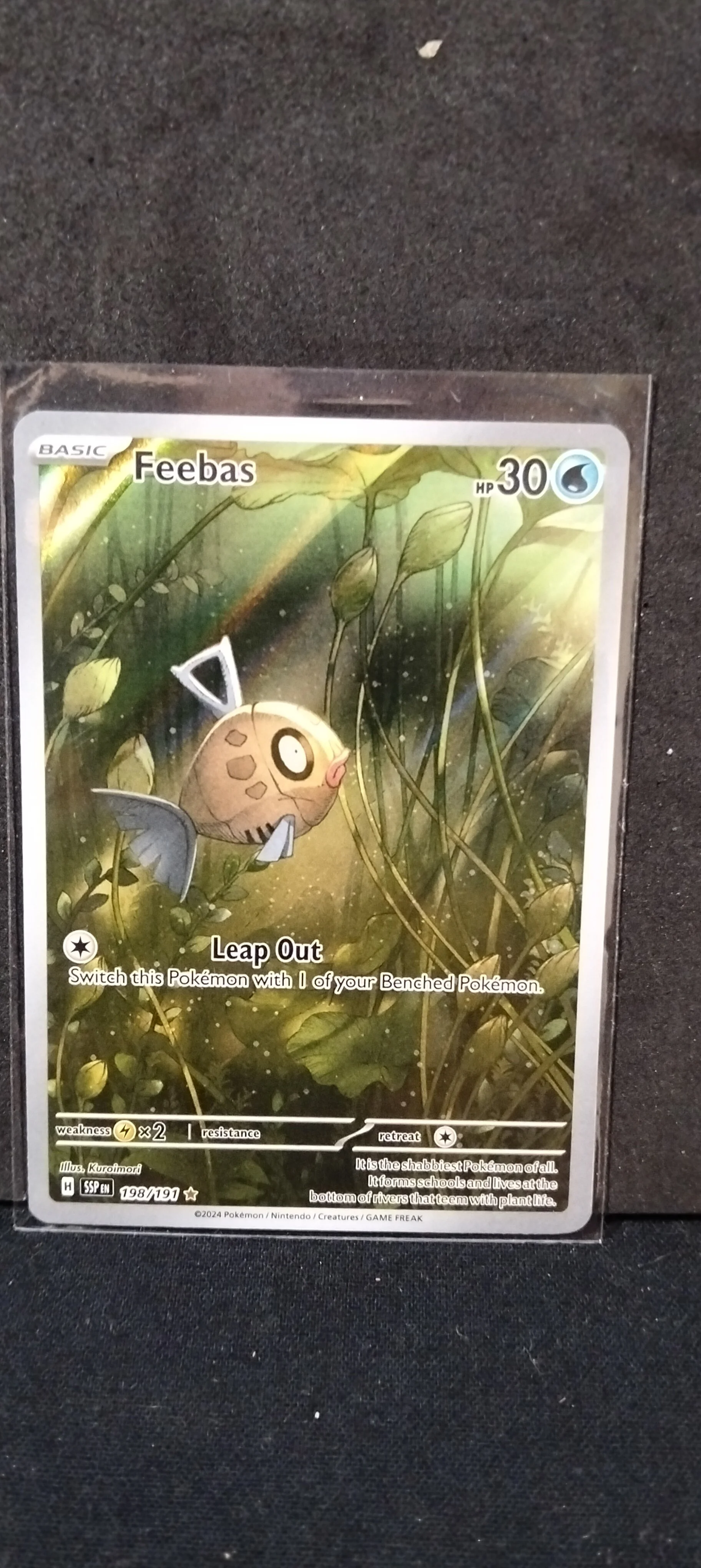 Feebas Illustration Rare