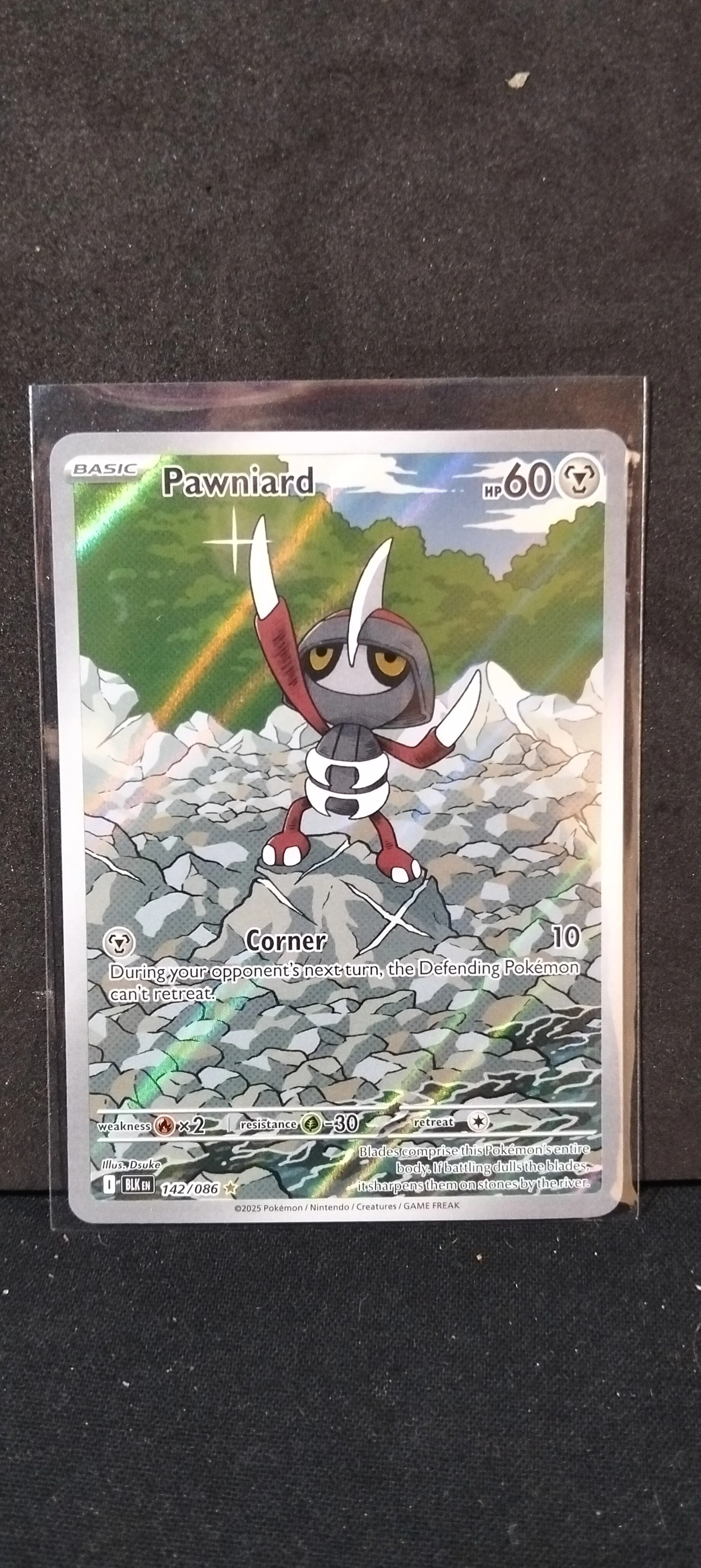 Pawniard Holographic Pokémon Card
