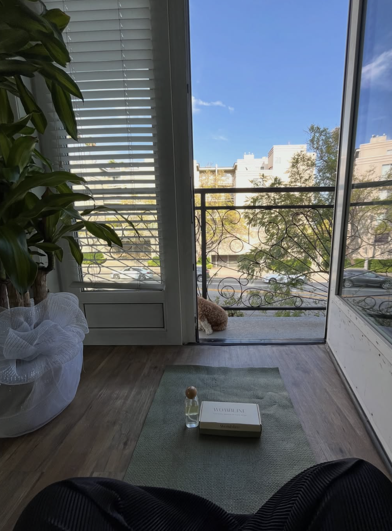 Indoor scene looking out onto a balcony with a small dog sitting on it, visible through a glass door. The room has wooden floors, a large green plant on the left, and a green mat on the floor with a box labeled 'MOMBIN' and a small bottle of liquid on top. The balcony has a decorative metal railing, and the view outside shows trees, parked cars, and buildings under a clear blue sky.