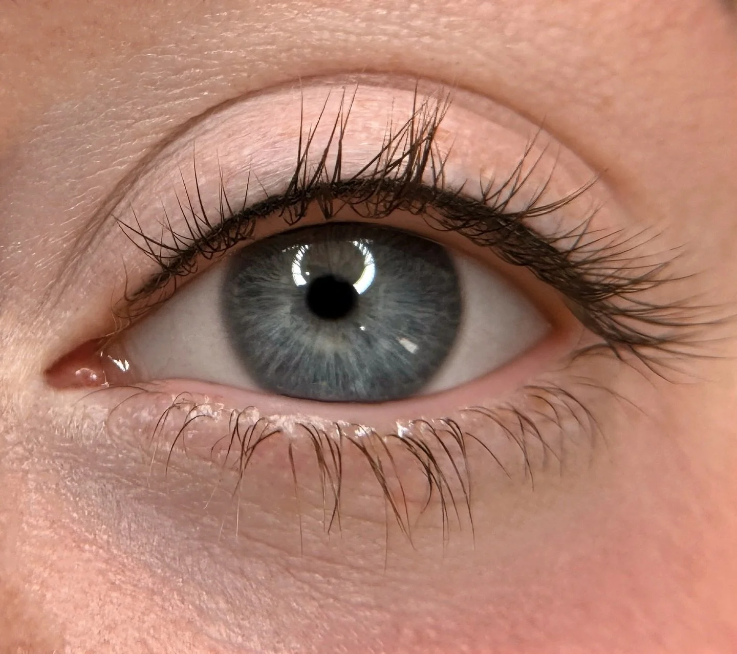 Who doesn&rsquo;t love a delicate lash enhancement 🫶 
#lashenhancement #pmulondon #tailandblush