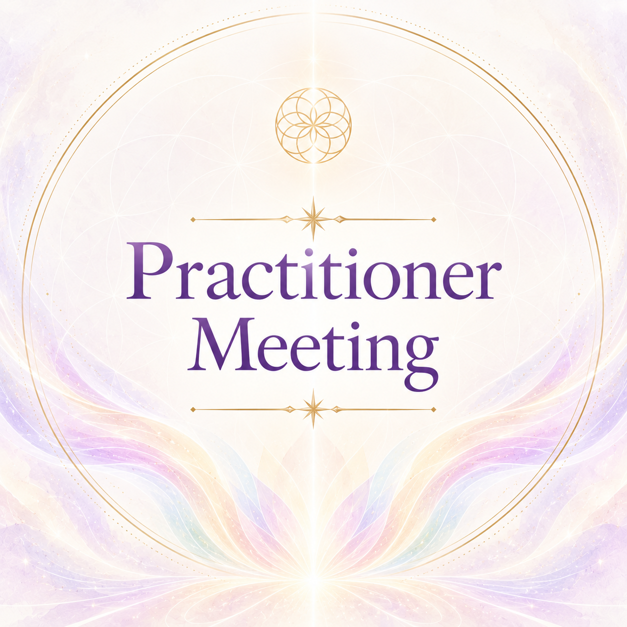 Practitioner Meeting 