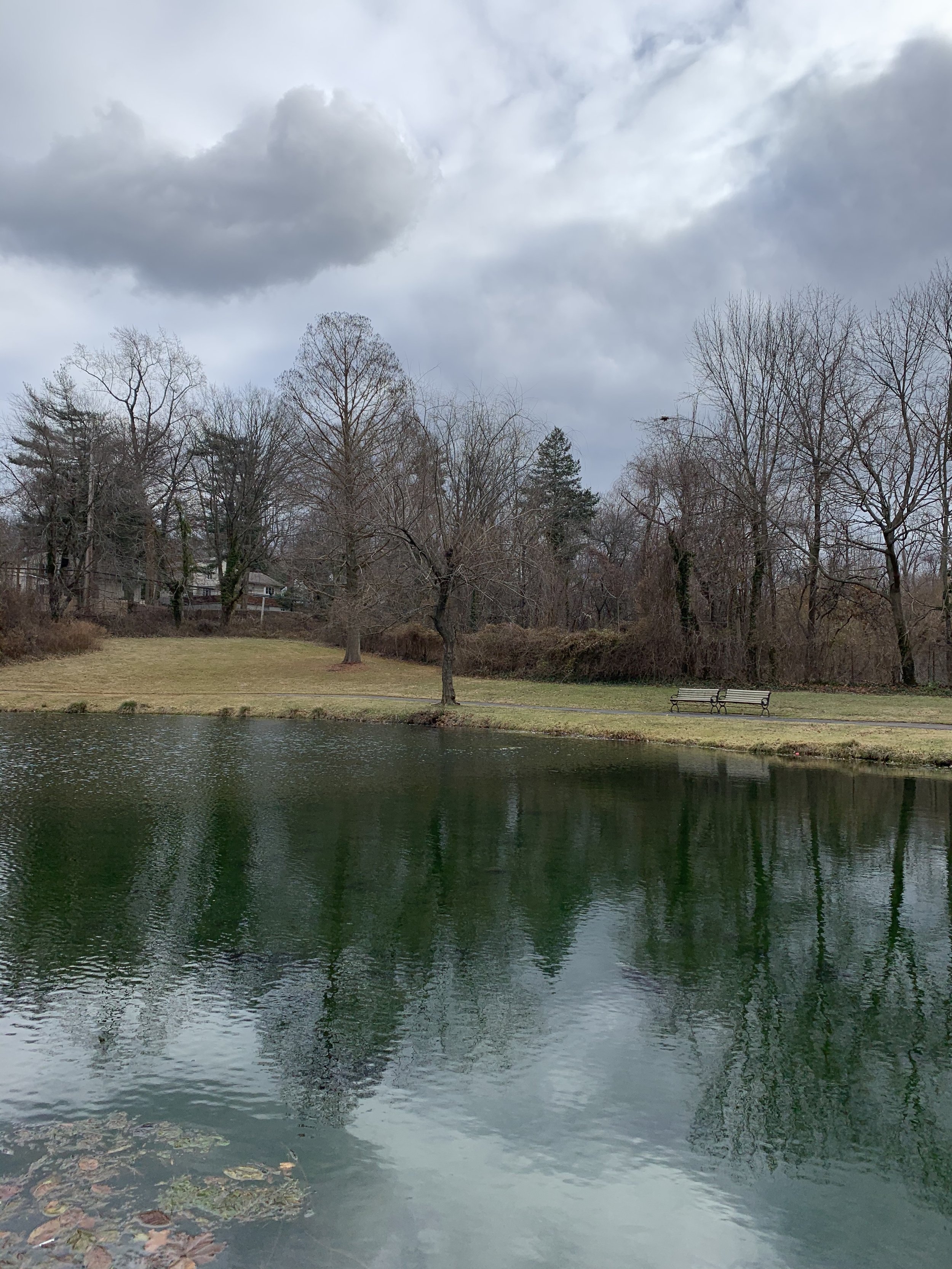 plandome park manhasset, ny