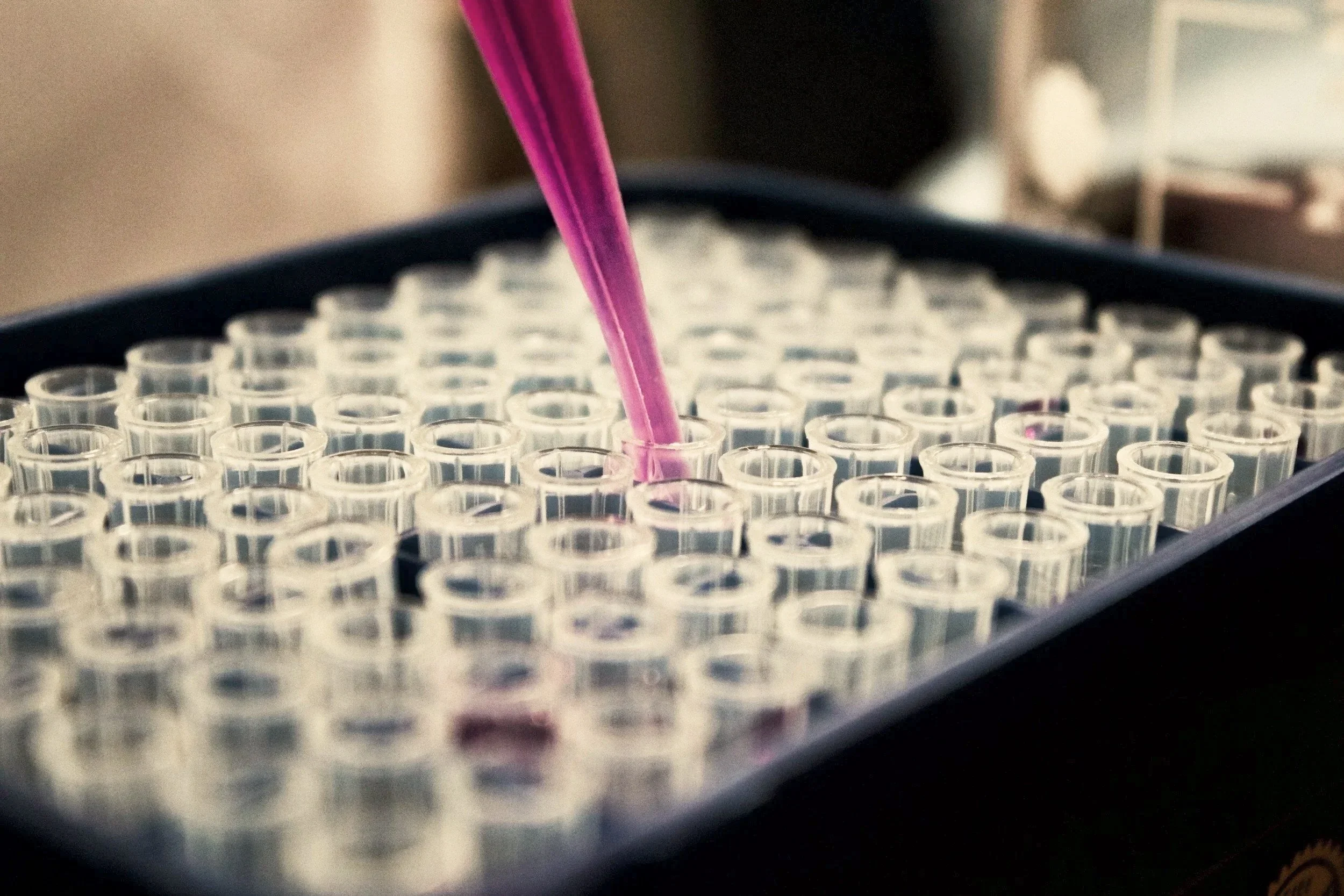 Close-up of a laboratory tray filled with small test tubes, with a pink pipette dispensing liquid into one of the test tubes.