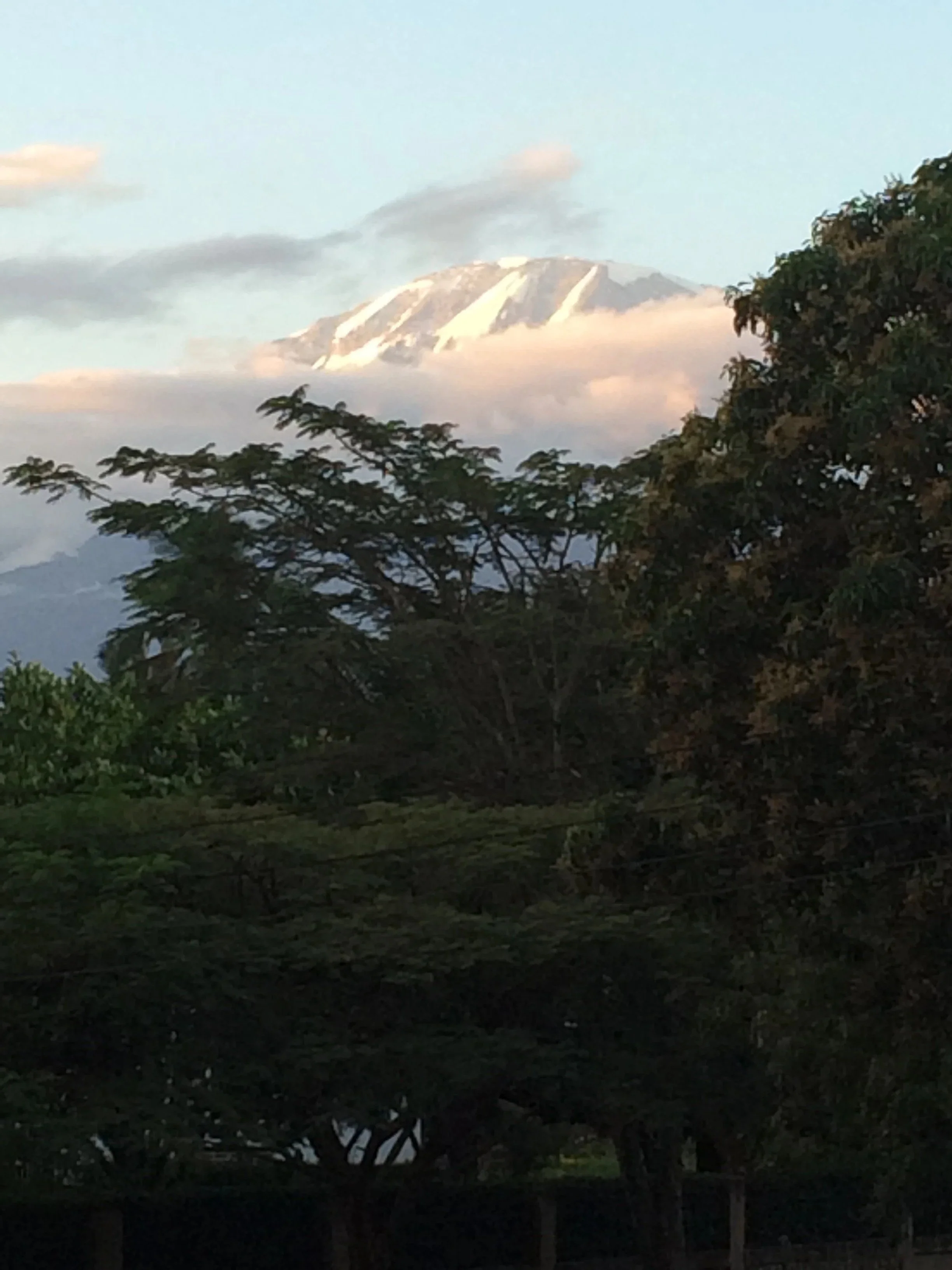 Ebola in Central/East Africa: What Safari and Adventure Travelers Actually Need to Know