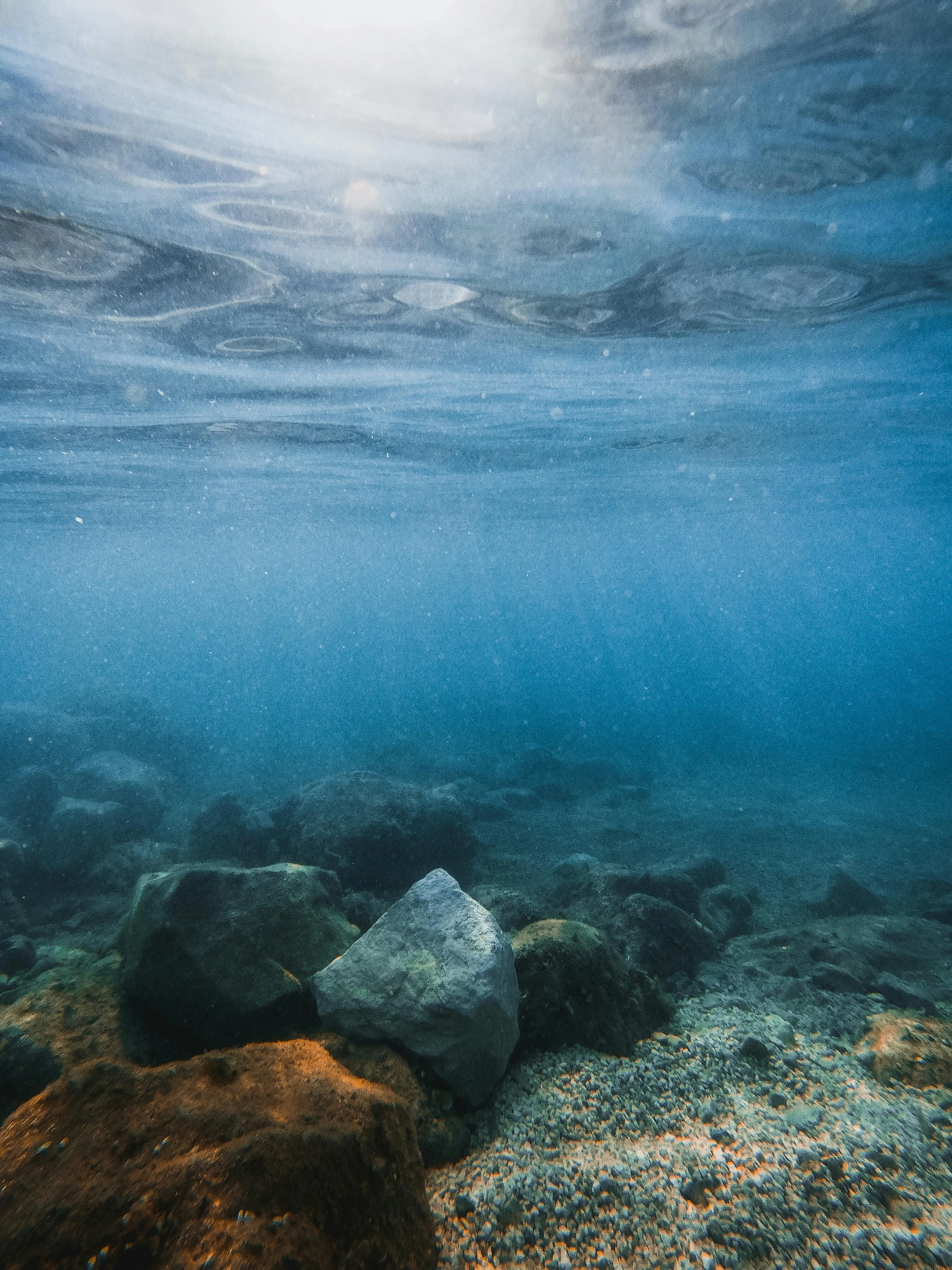Cross the Ocean: Prenatal Guided Visualization & Breath Practice