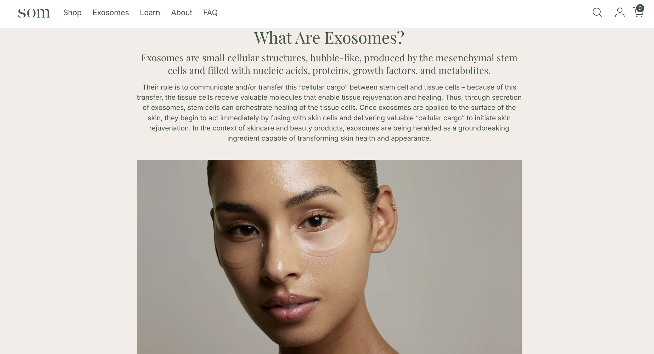 Screenshot 2026-02-04 at 3.48.49 PM.png