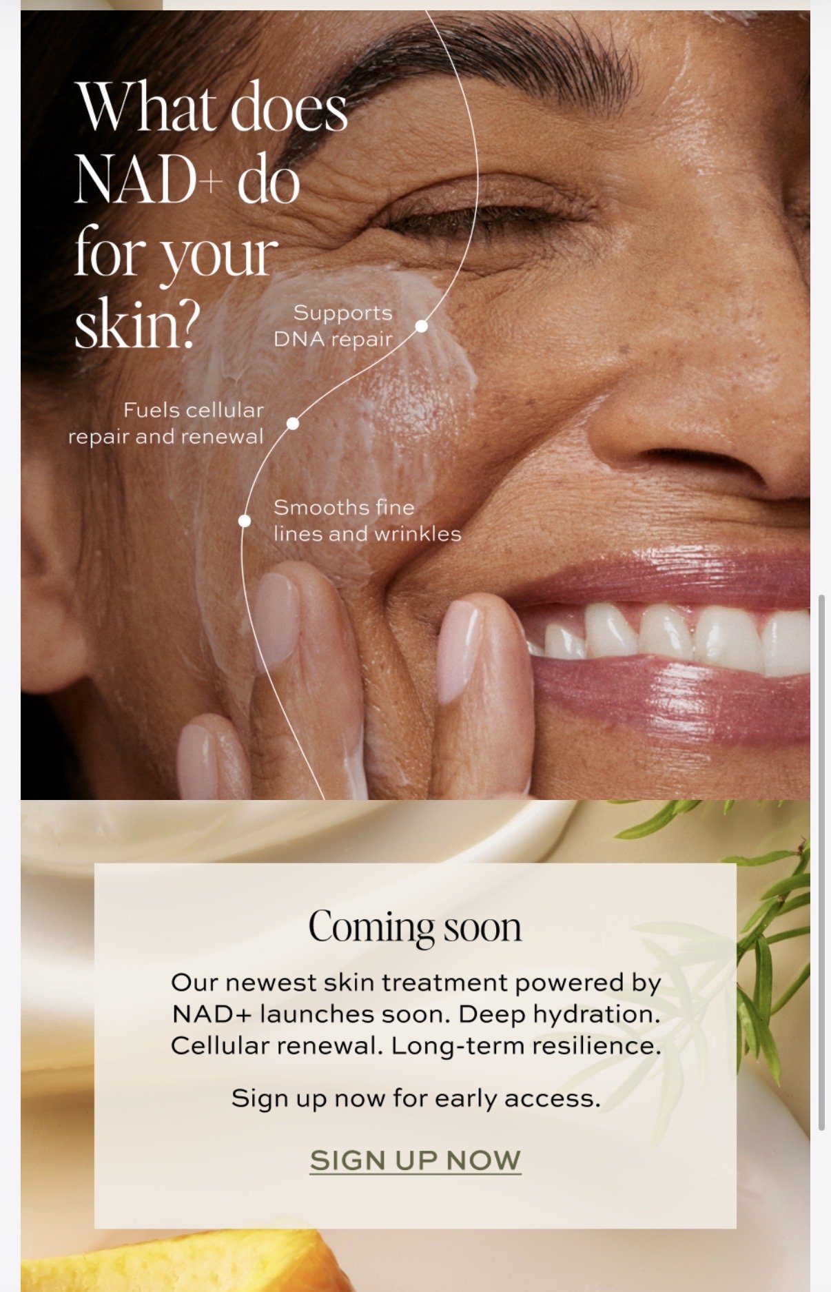 NAD+ intro email 2.jpg