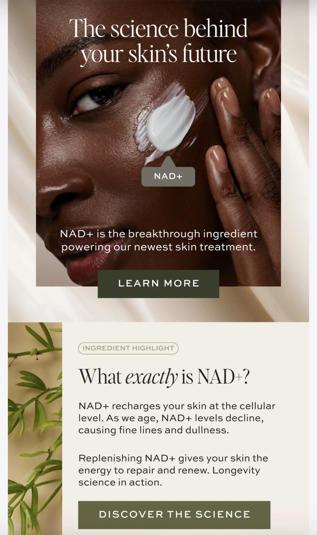 NAD+ intro email 1.jpg