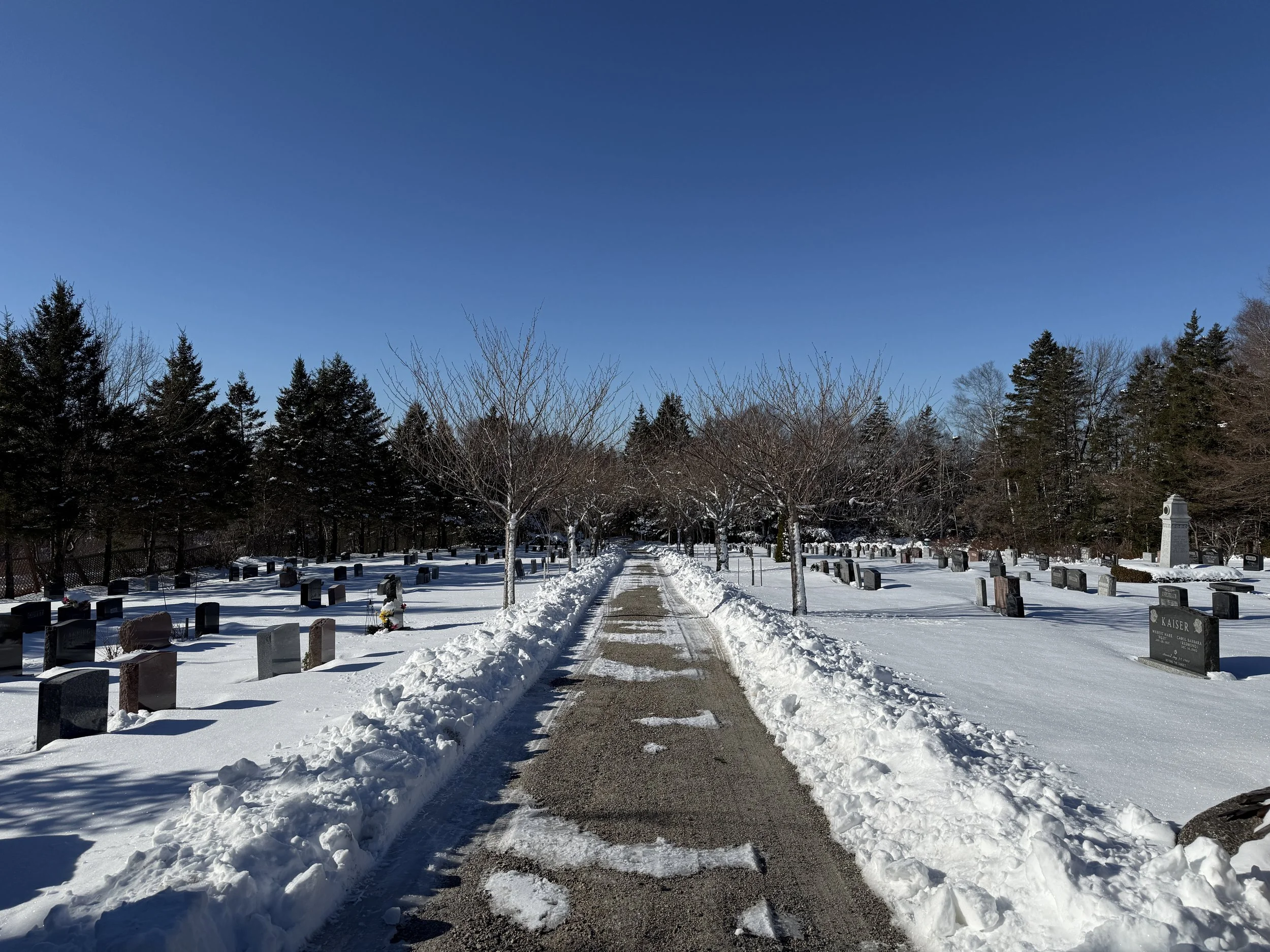 A snowy cemetery with a cleared pathway, leafless trees lining both sides, and headstones scattered throughout under a clear blue sky.