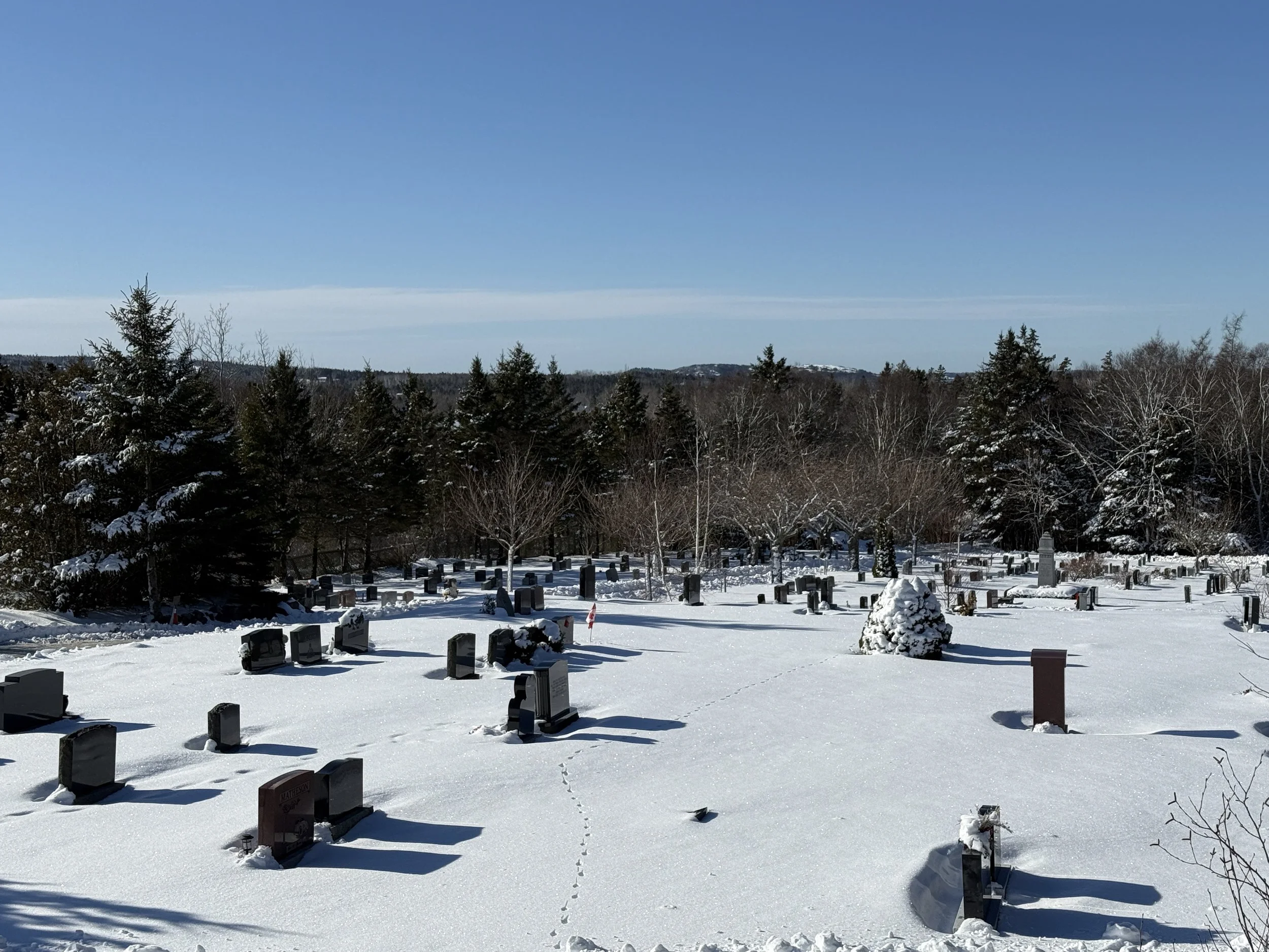 Snow-covered cemetery with headstones and trees, under a clear blue sky.