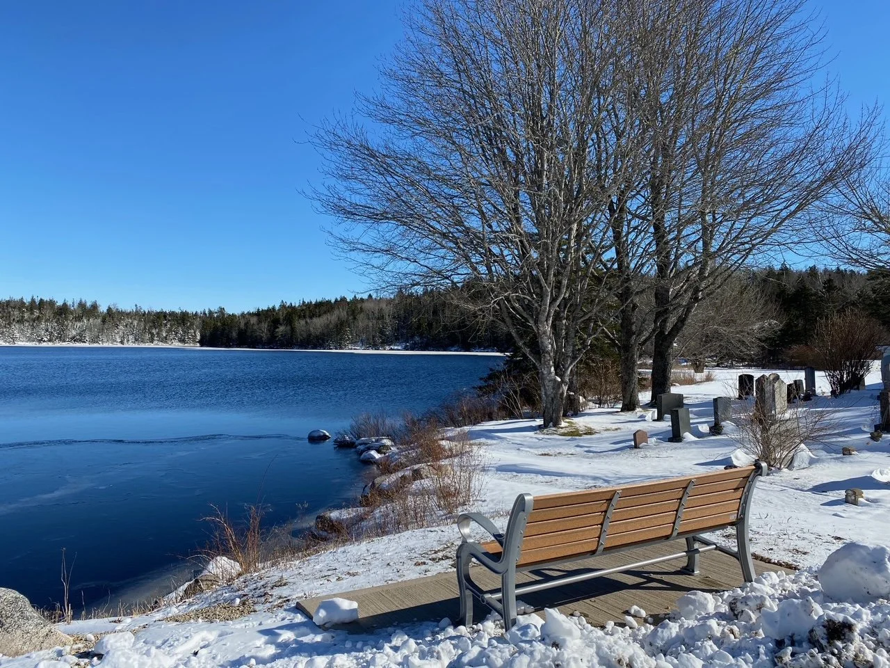 Snow-covered lakeside park with benches, trees, and gravestones under clear blue sky.