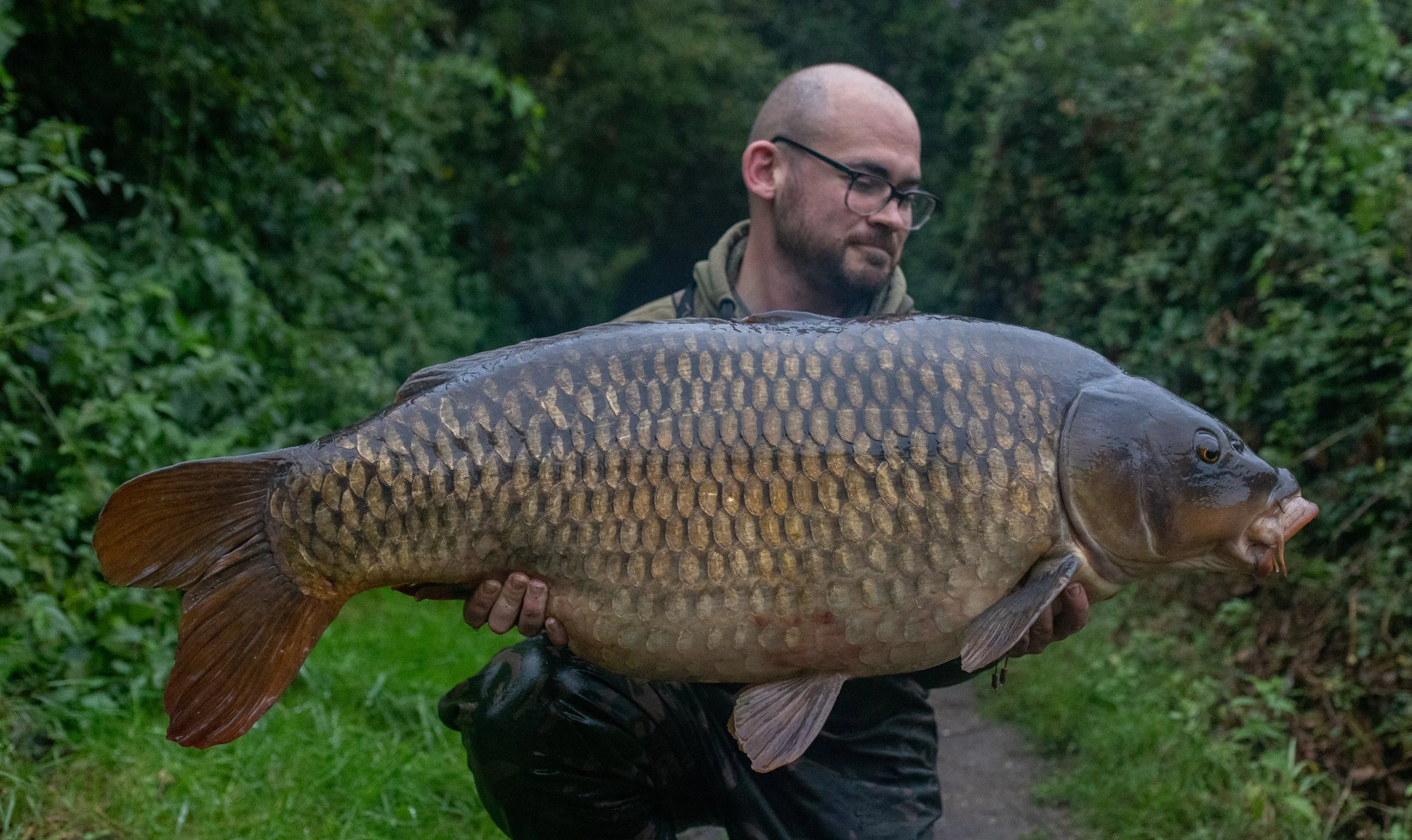 A man with glasses holding a large fish outdoors on a path surrounded by greenery.