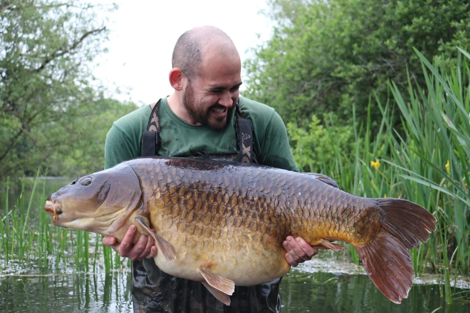 A man with a bald head and beard smiling while holding a large fish in a natural outdoor setting with water and green plants.