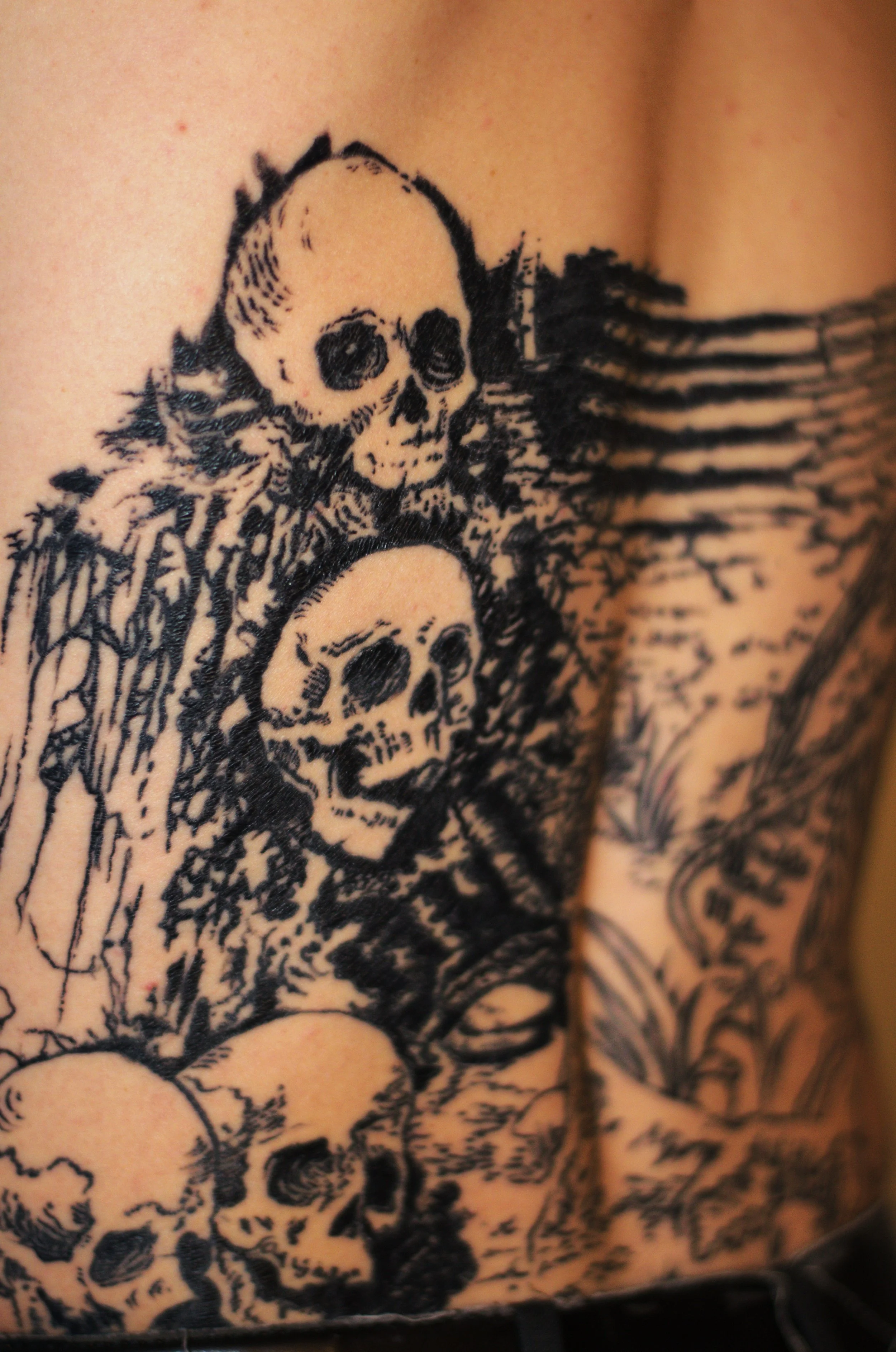 DSC_0112 - Copy (2).JPG