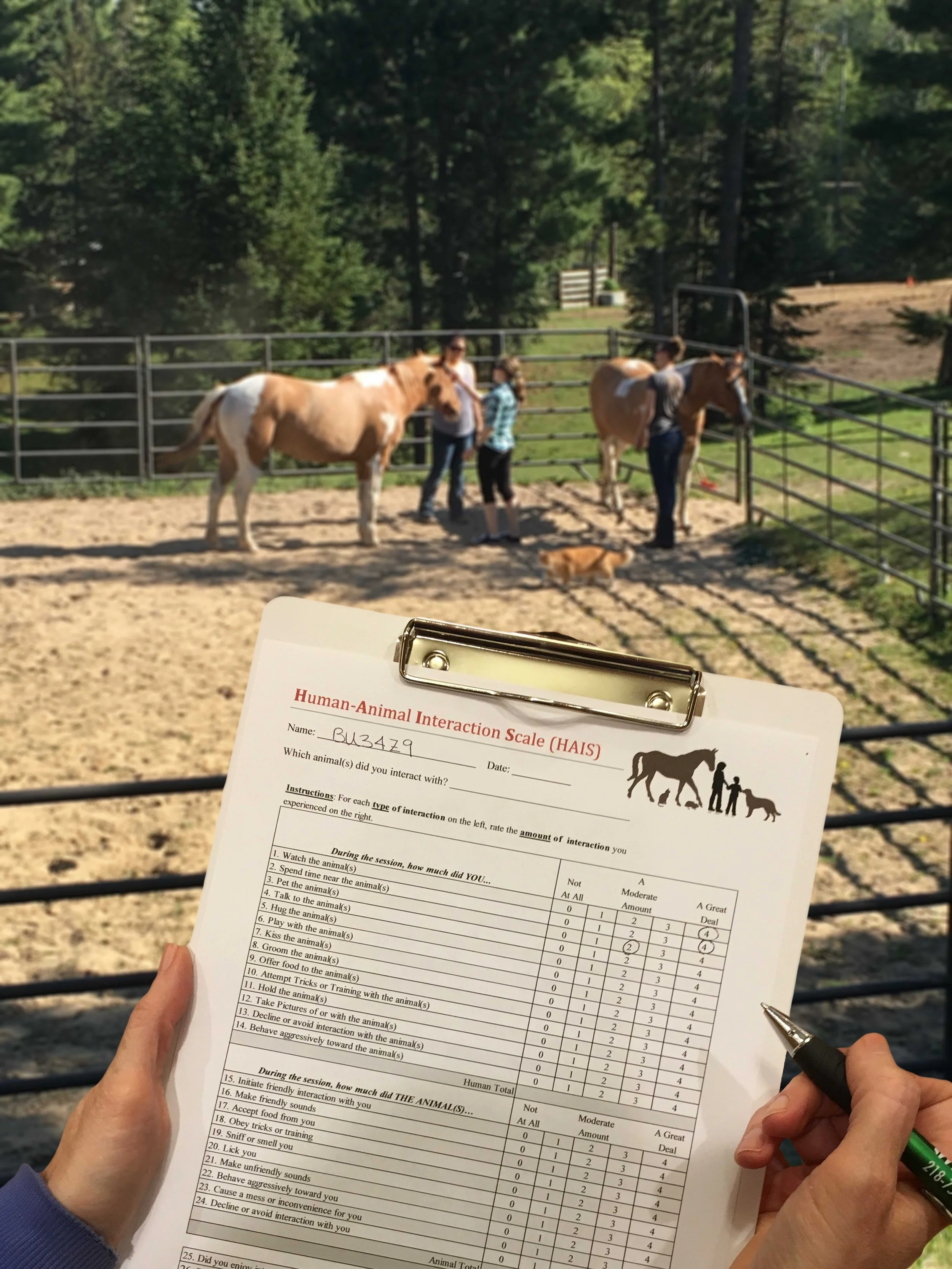 SAGA Foundations Workshop