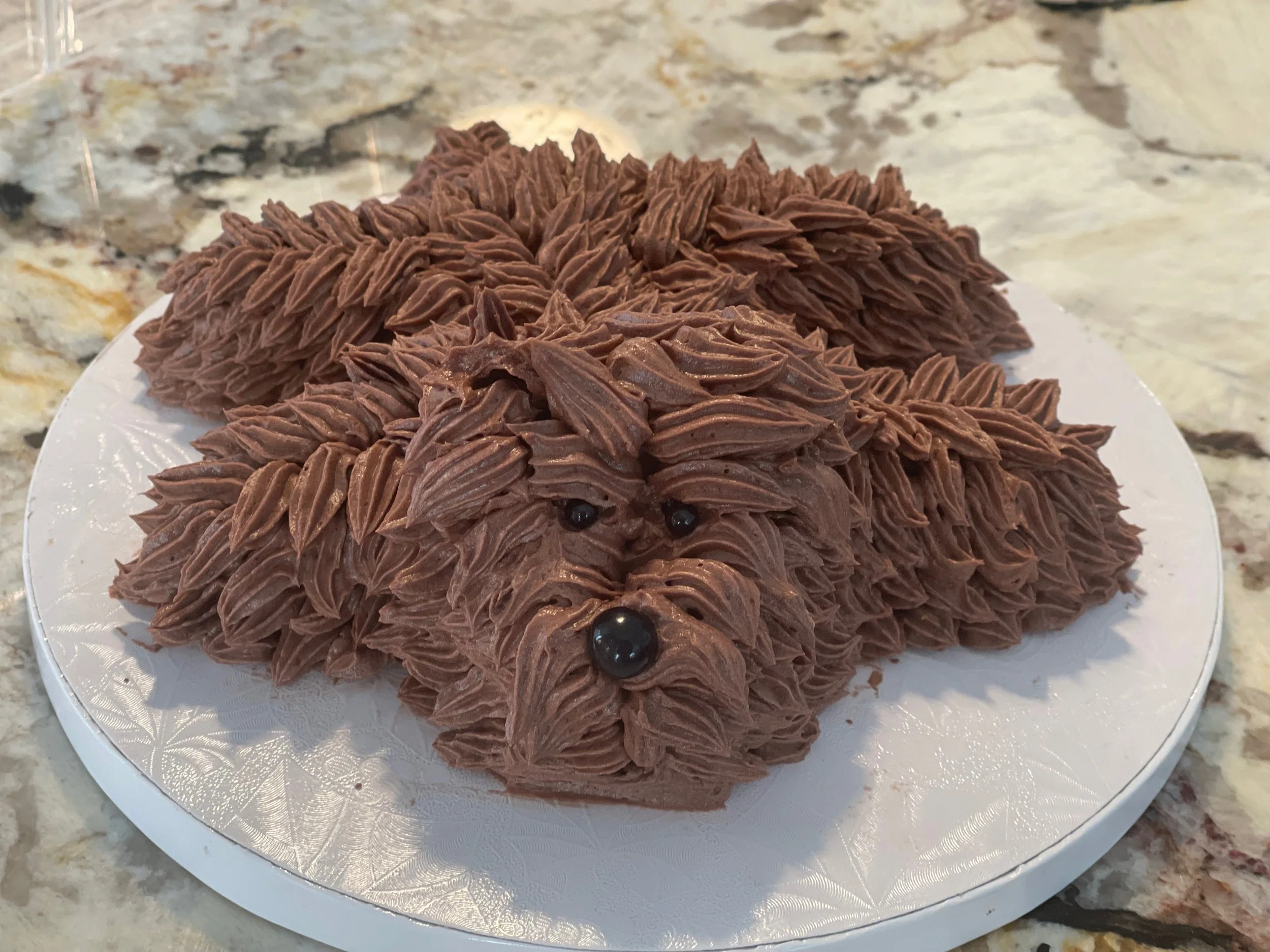 A cake decorated to look like a dog, covered in chocolate frosting with spikes, with small edible black eyes, placed on a white decorative cake board.