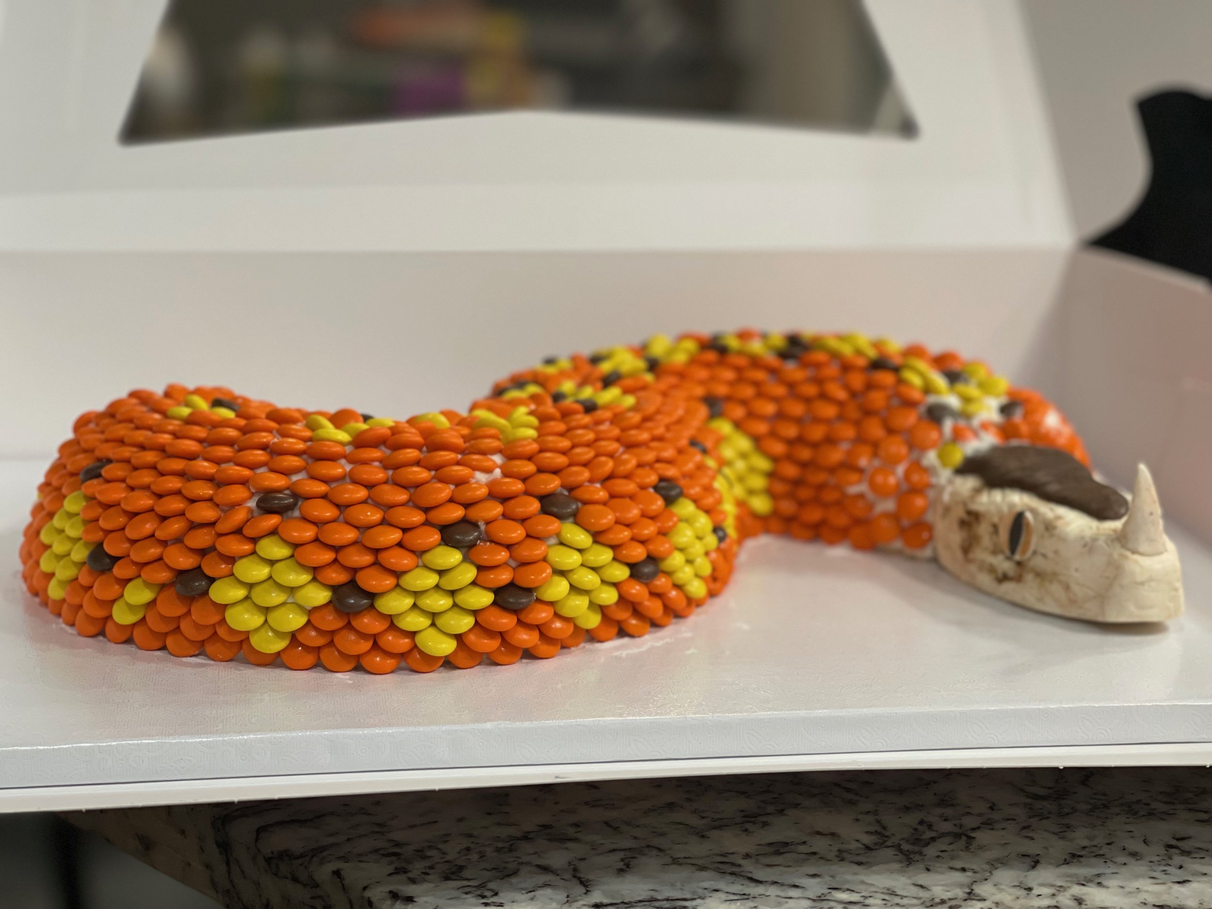 Snake themed cake decorated with orange, yellow, and black reese's pieces, resembling a rhinoceros viper snake.
