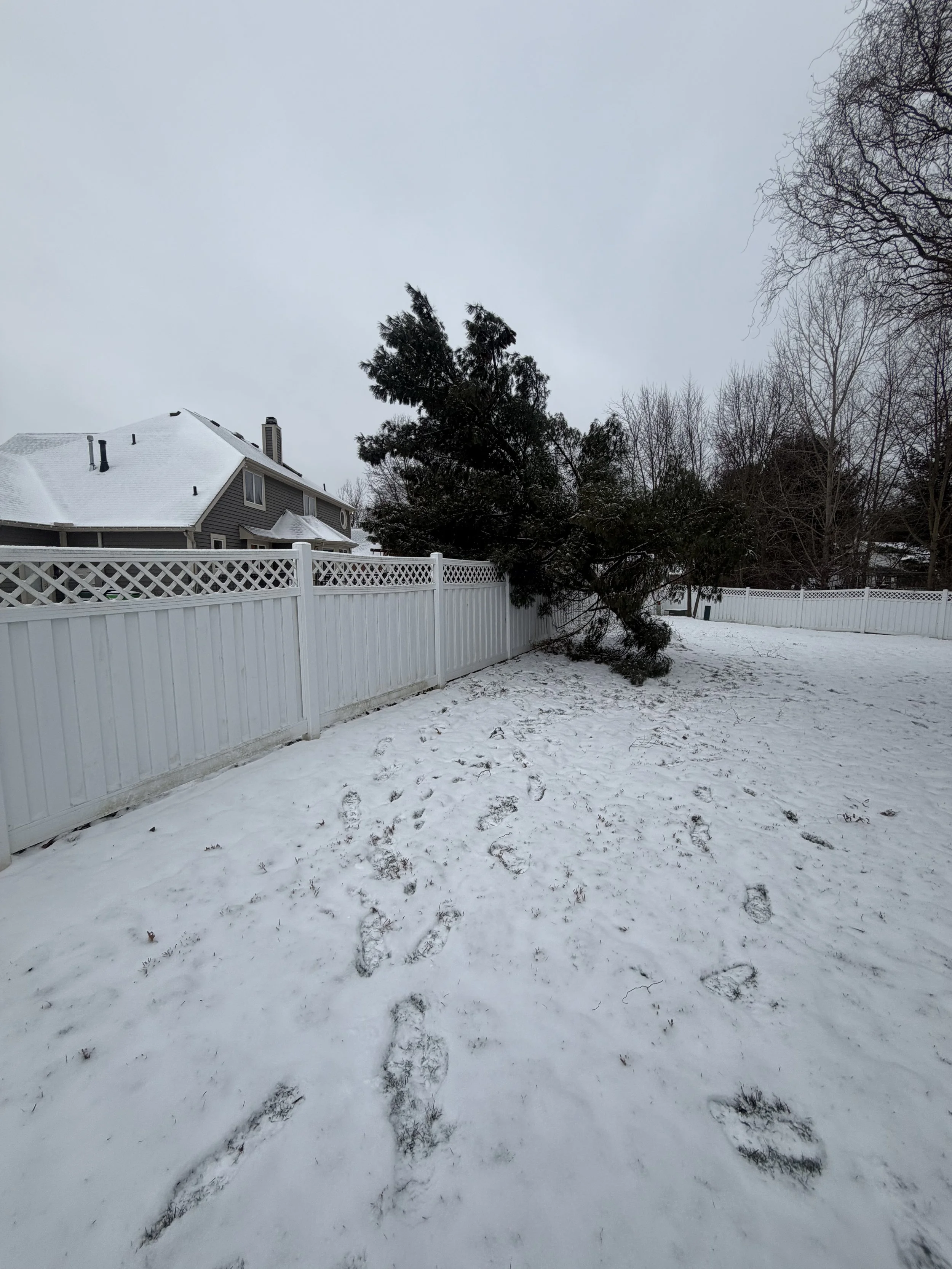 Buckeye Tree Guy providing 24/7 emergency tree service and storm damage cleanup after a snowstorm in a Northeast Ohio residential area.