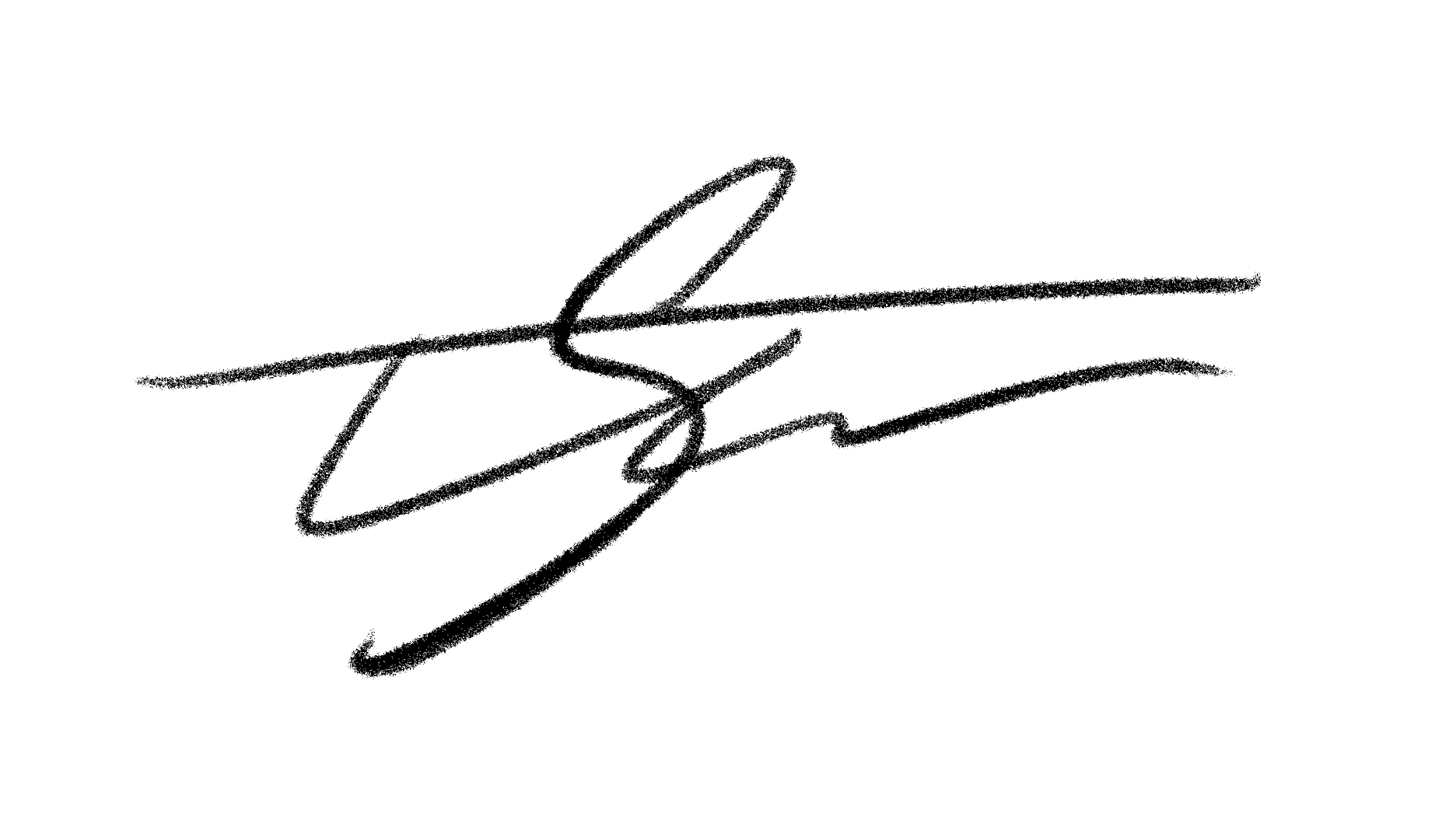 A black, abstract, cursive signature on a white background.