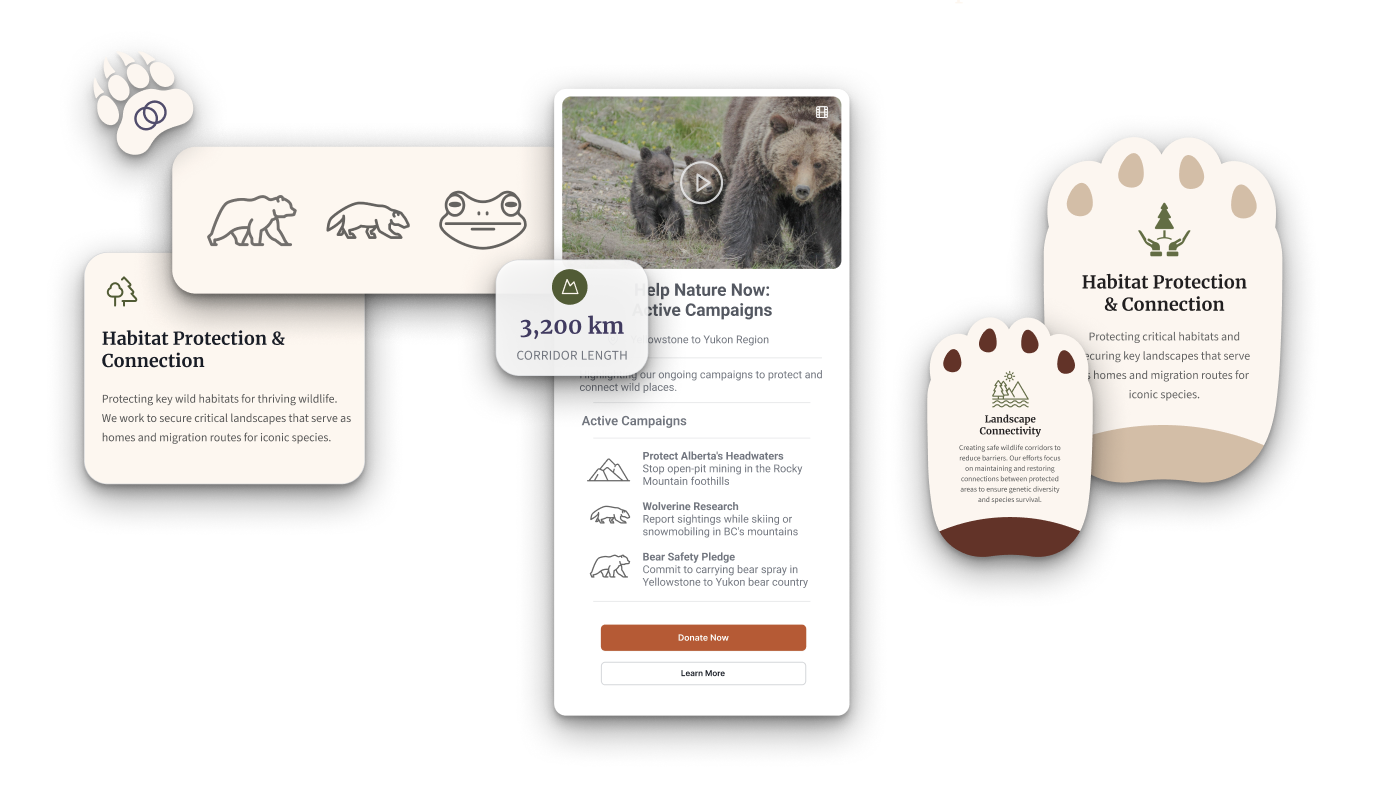 Y2Y Website Donor Focus Redesign