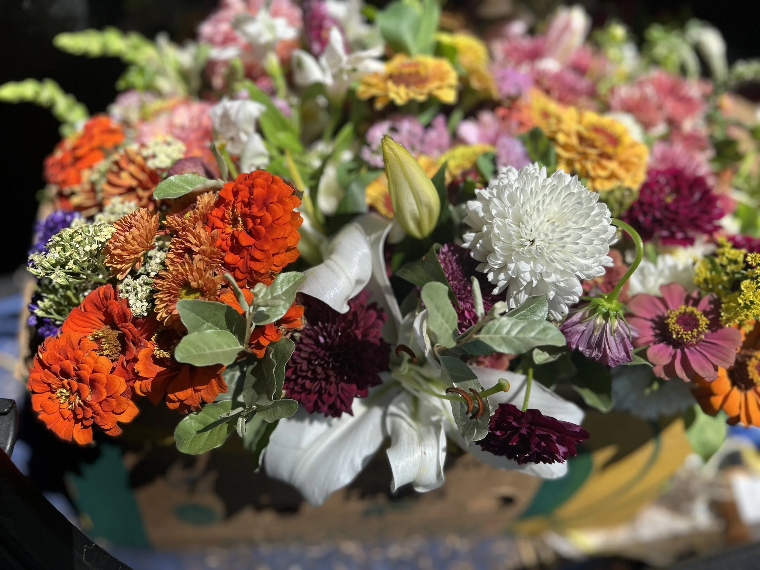 9/8 - Beautiful flower bouquets gifted to patients at Paoli Hospital to brighten up their day!