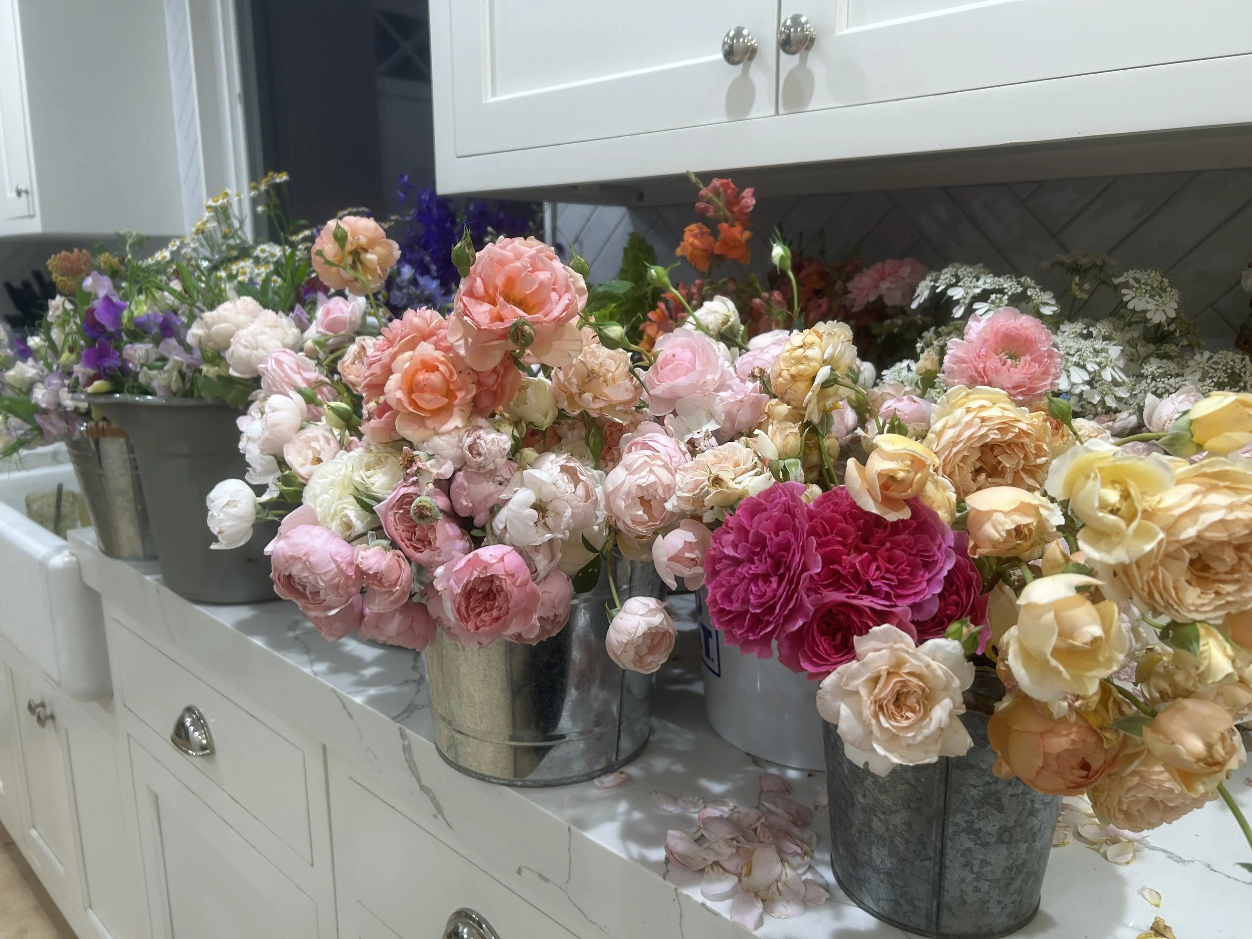 Beautiful early summer flowers gathered from our garden