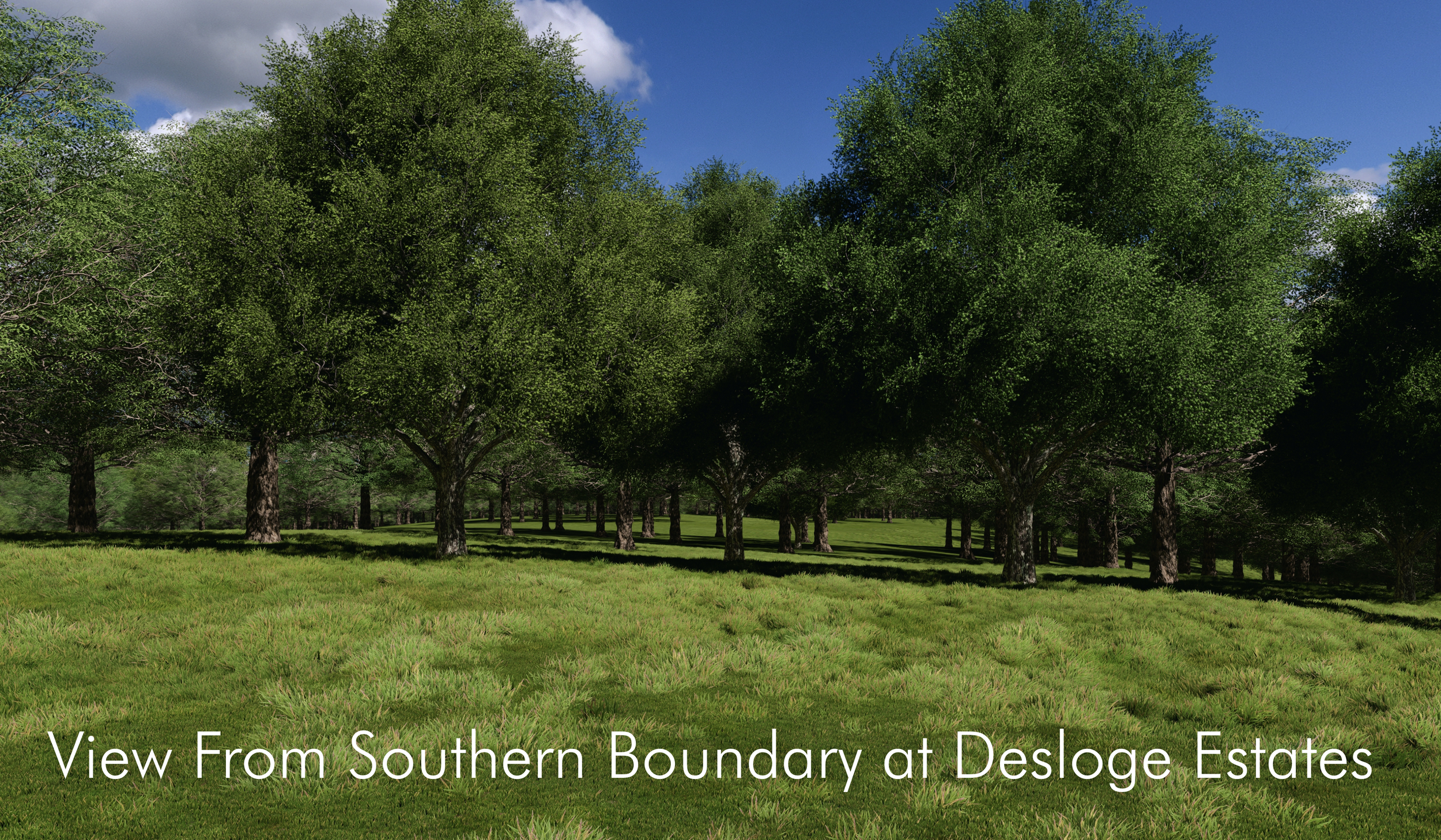 Gateway_Desloge Estates_View.png