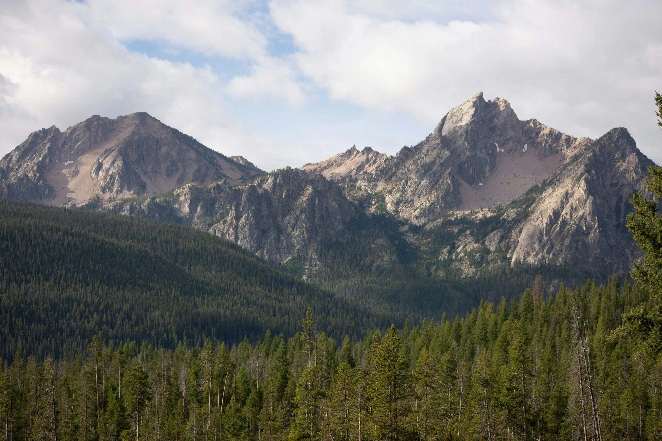 Mountain range with rocky peaks and dense green forest below