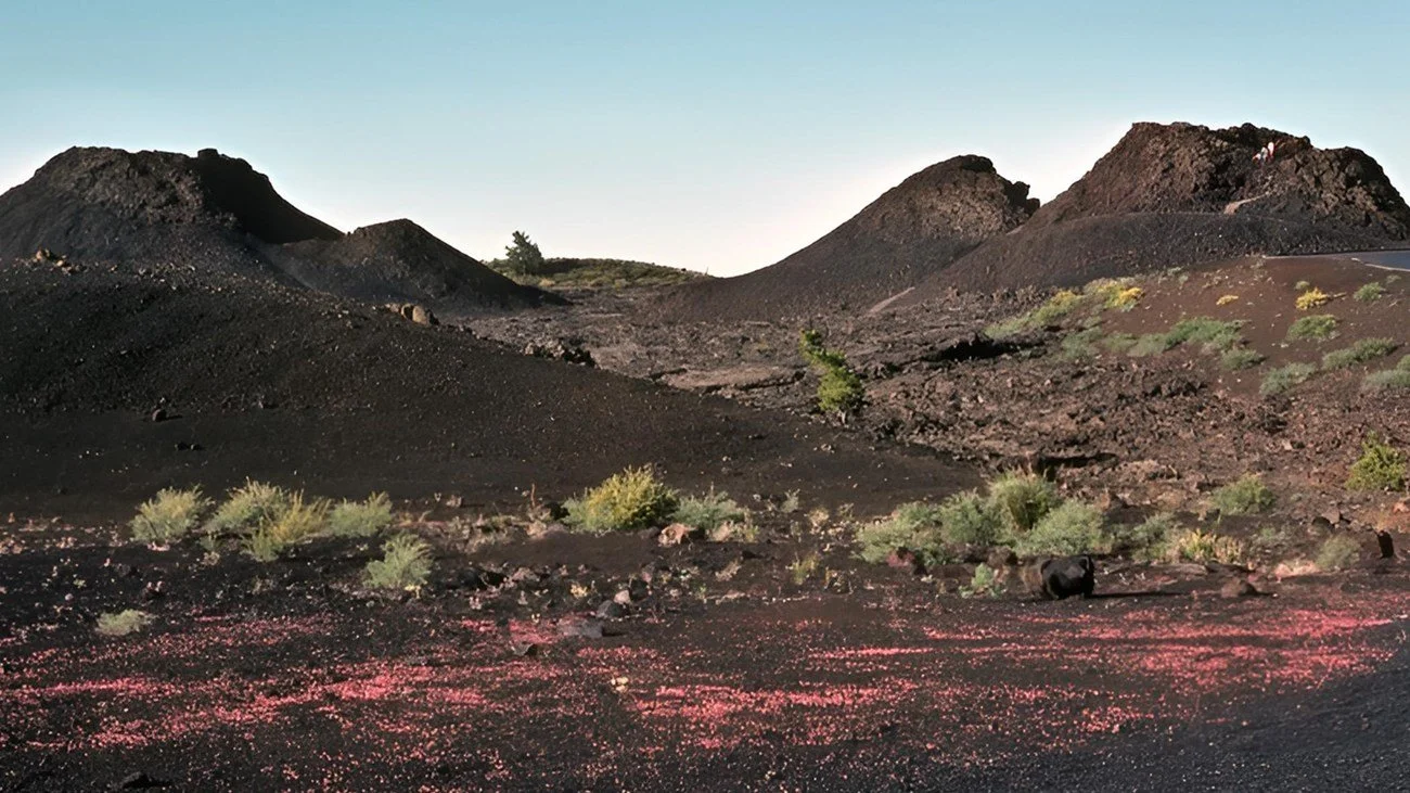 A volcanic landscape with black volcanic rocks and ash, sparse green vegetation, and reddish deposits on the ground, under a clear blue sky.