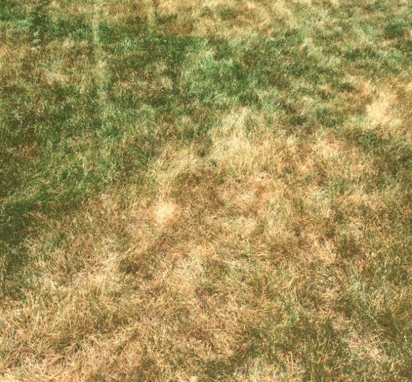 problem with H Yards 3.png