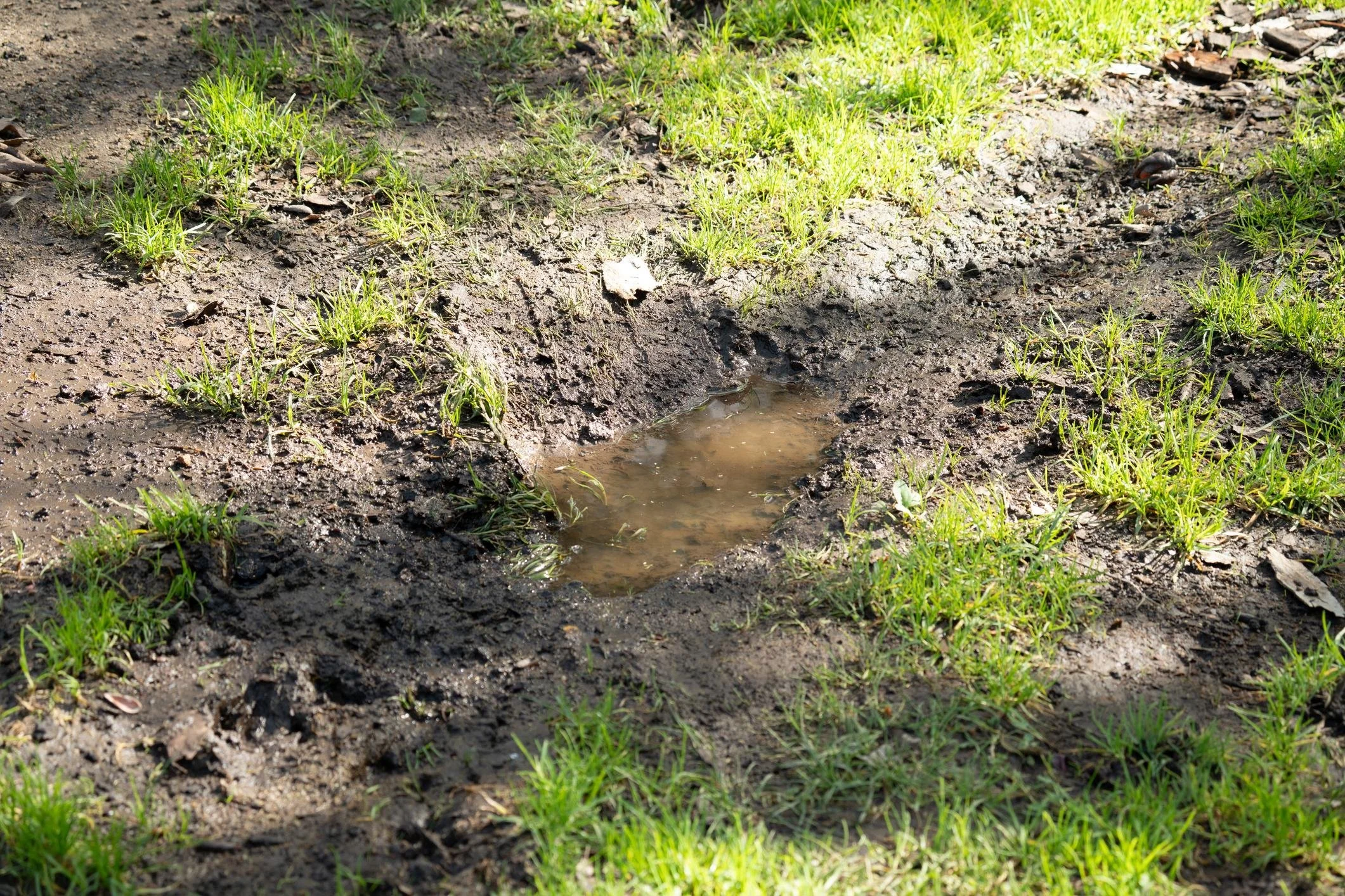 problem with H Yards 4.png