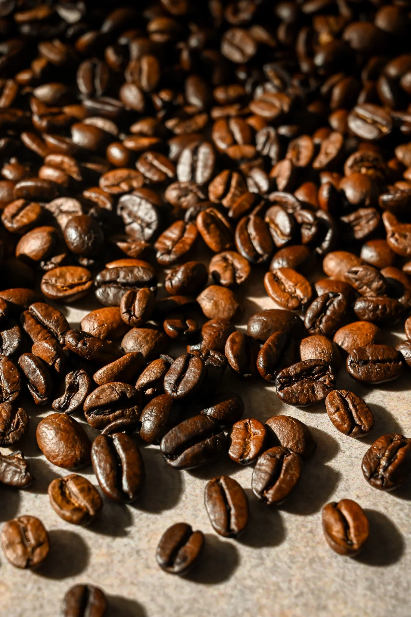 Roasted coffee beans spread out on a surface with shadows cast on them.