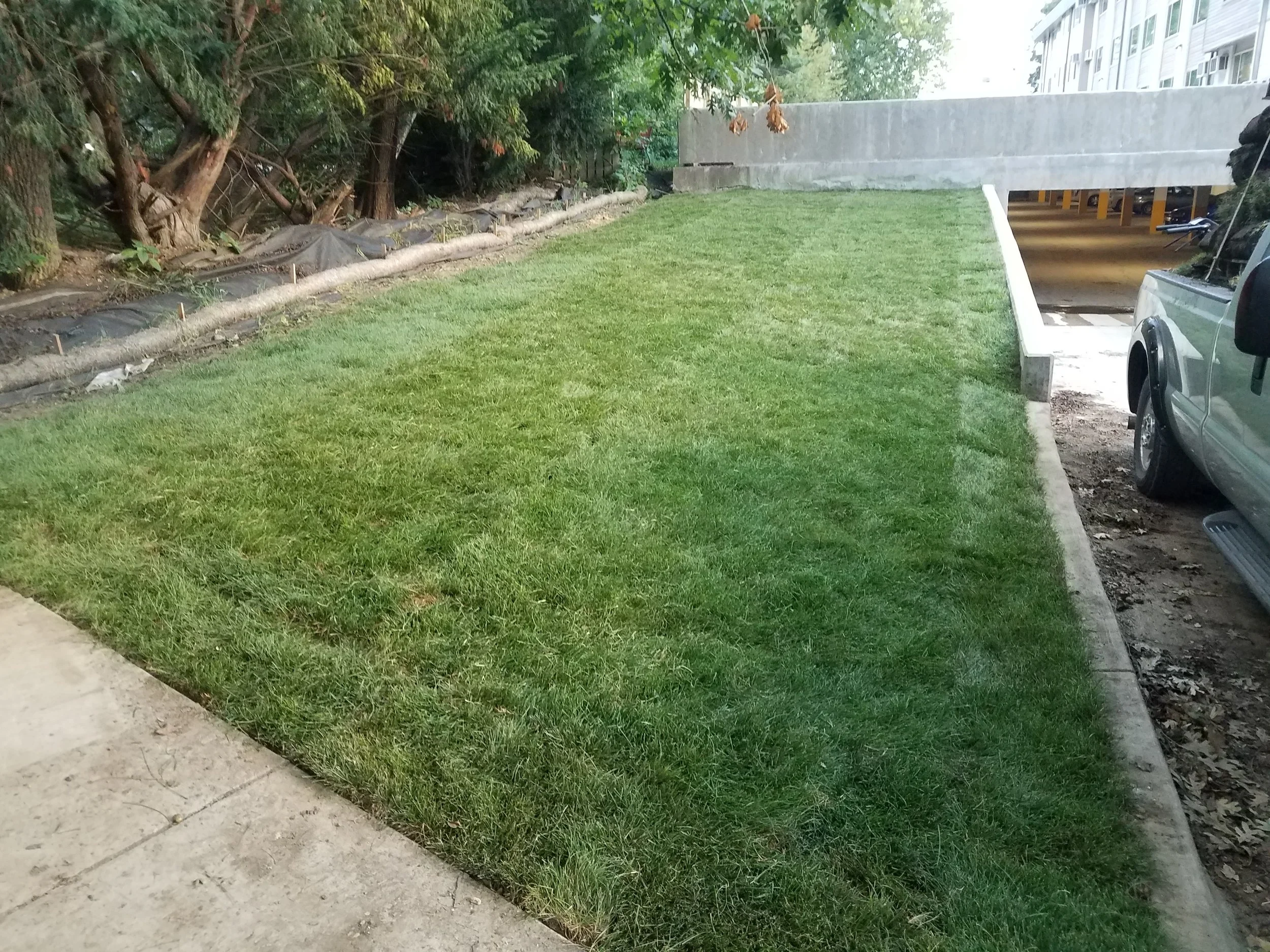 20180831_191038.jpg