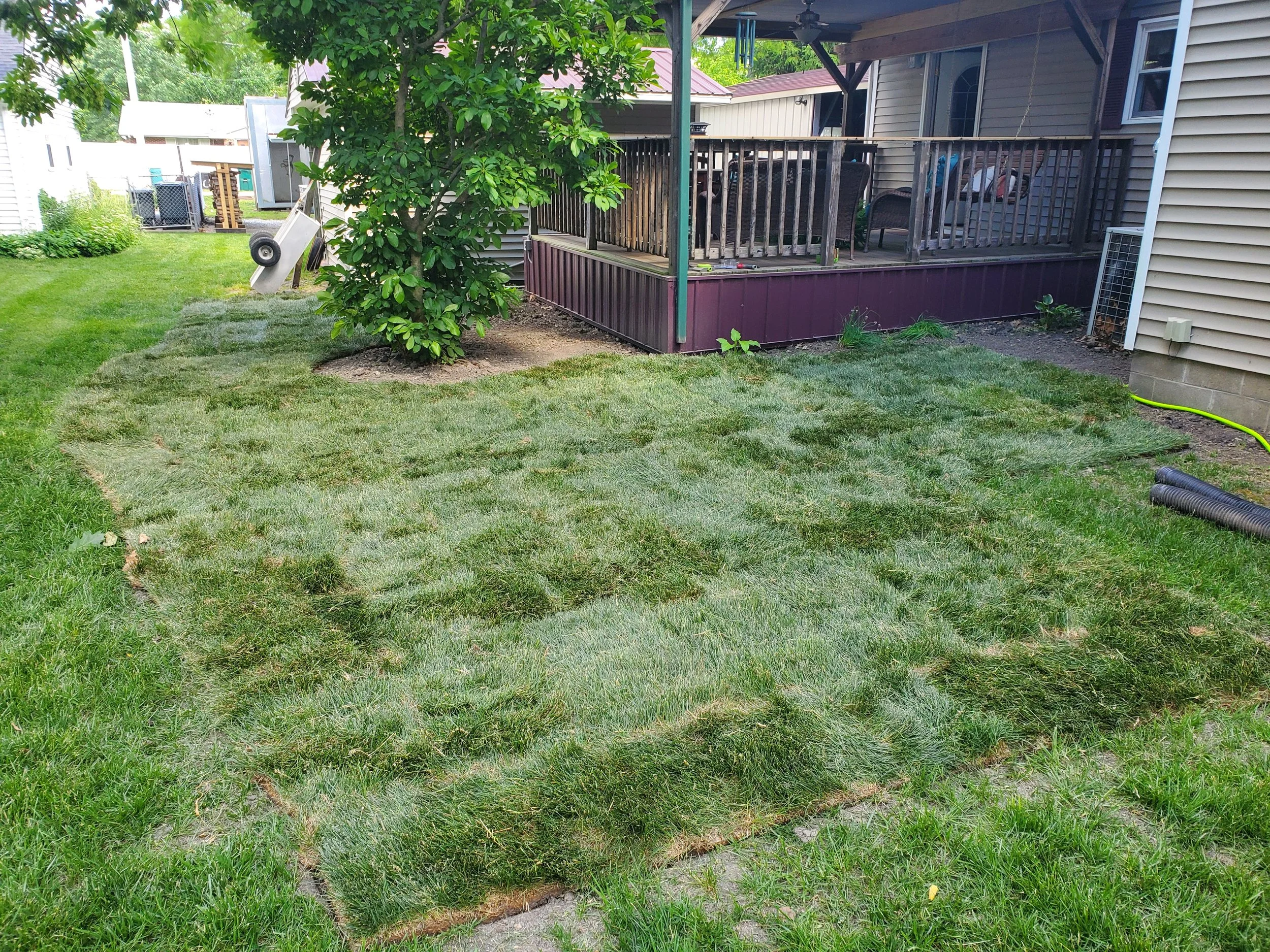 20220603_152306.jpg