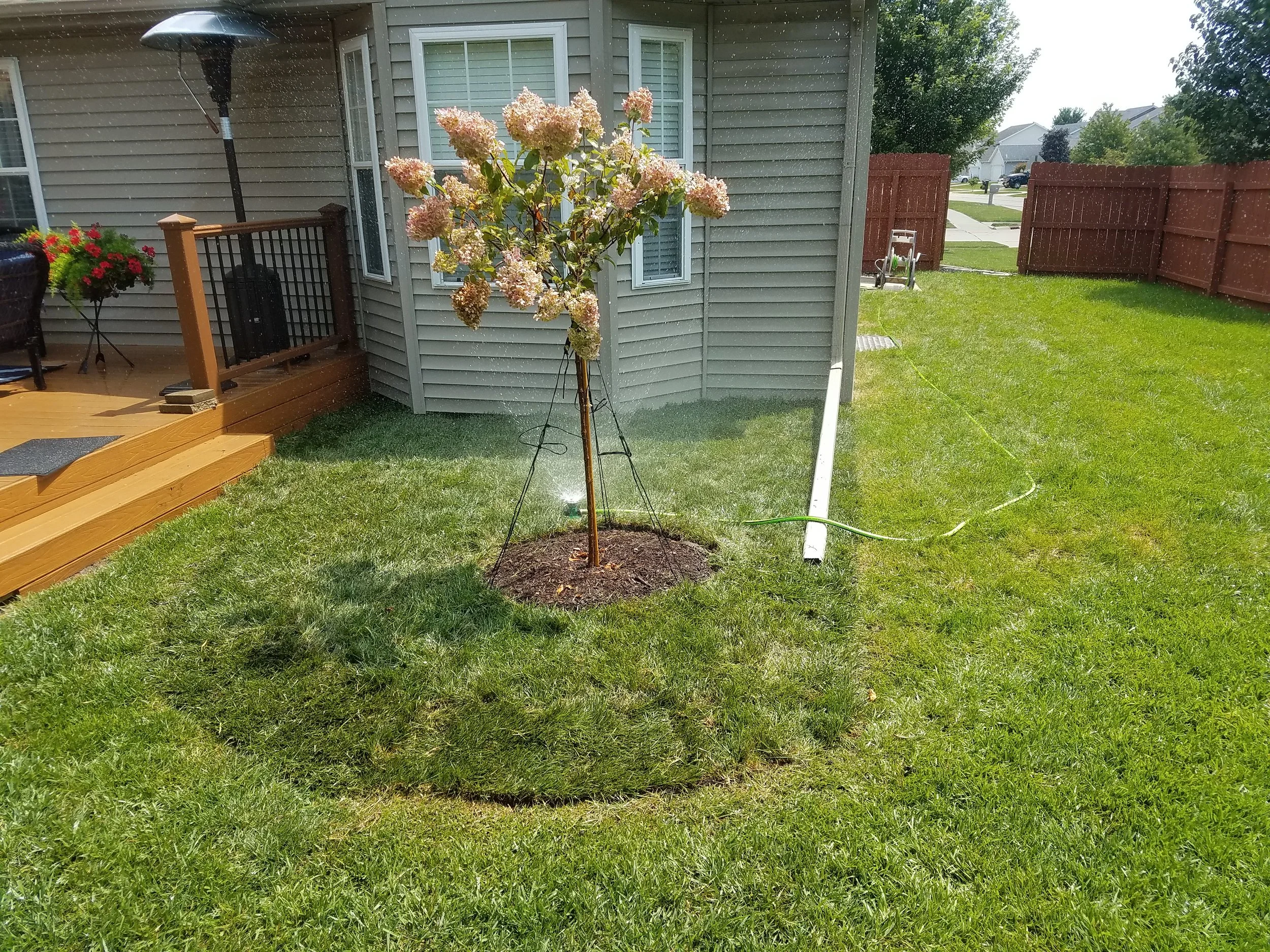 20180803_120307.jpg