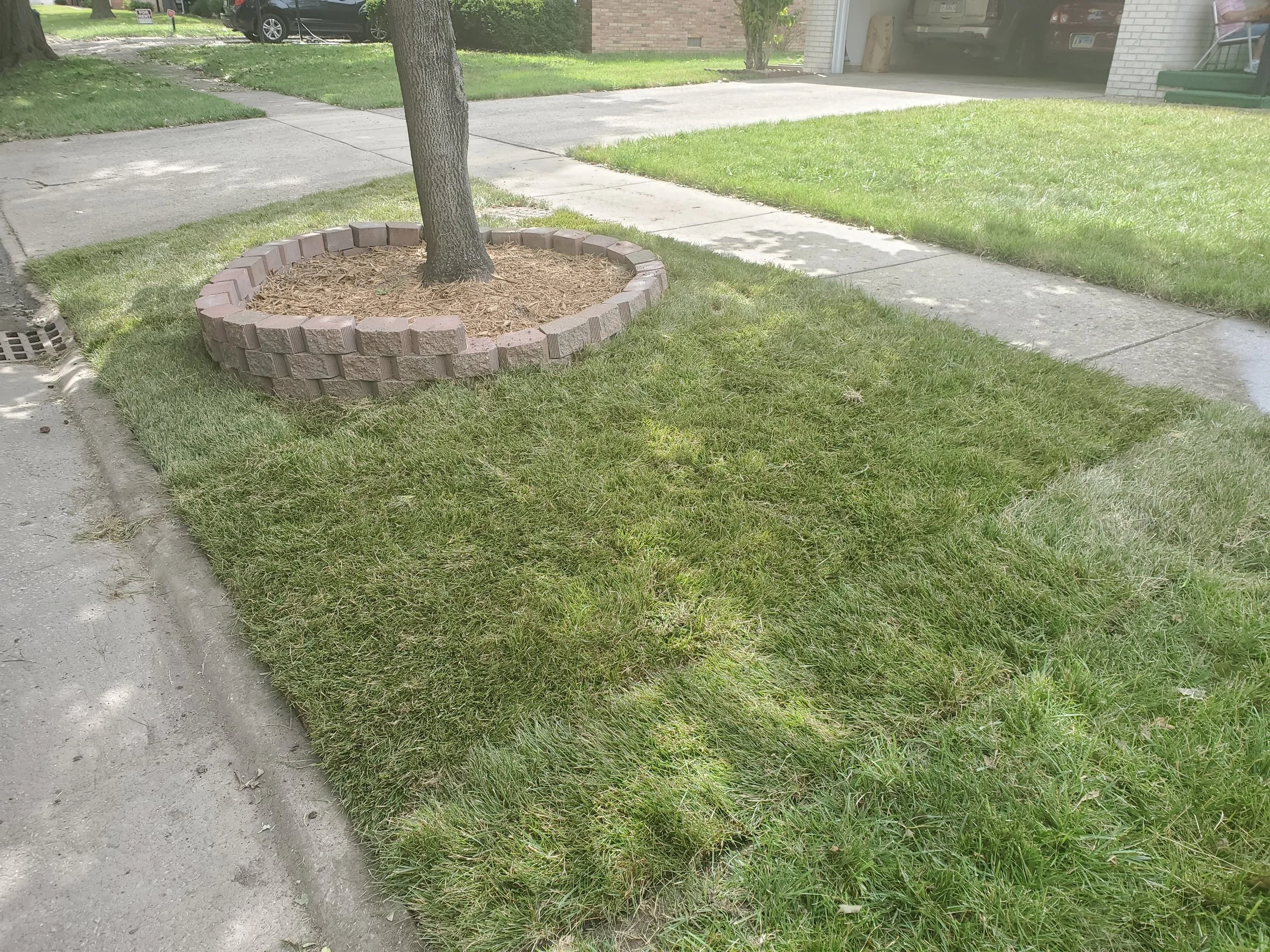 20200715_103134.jpg