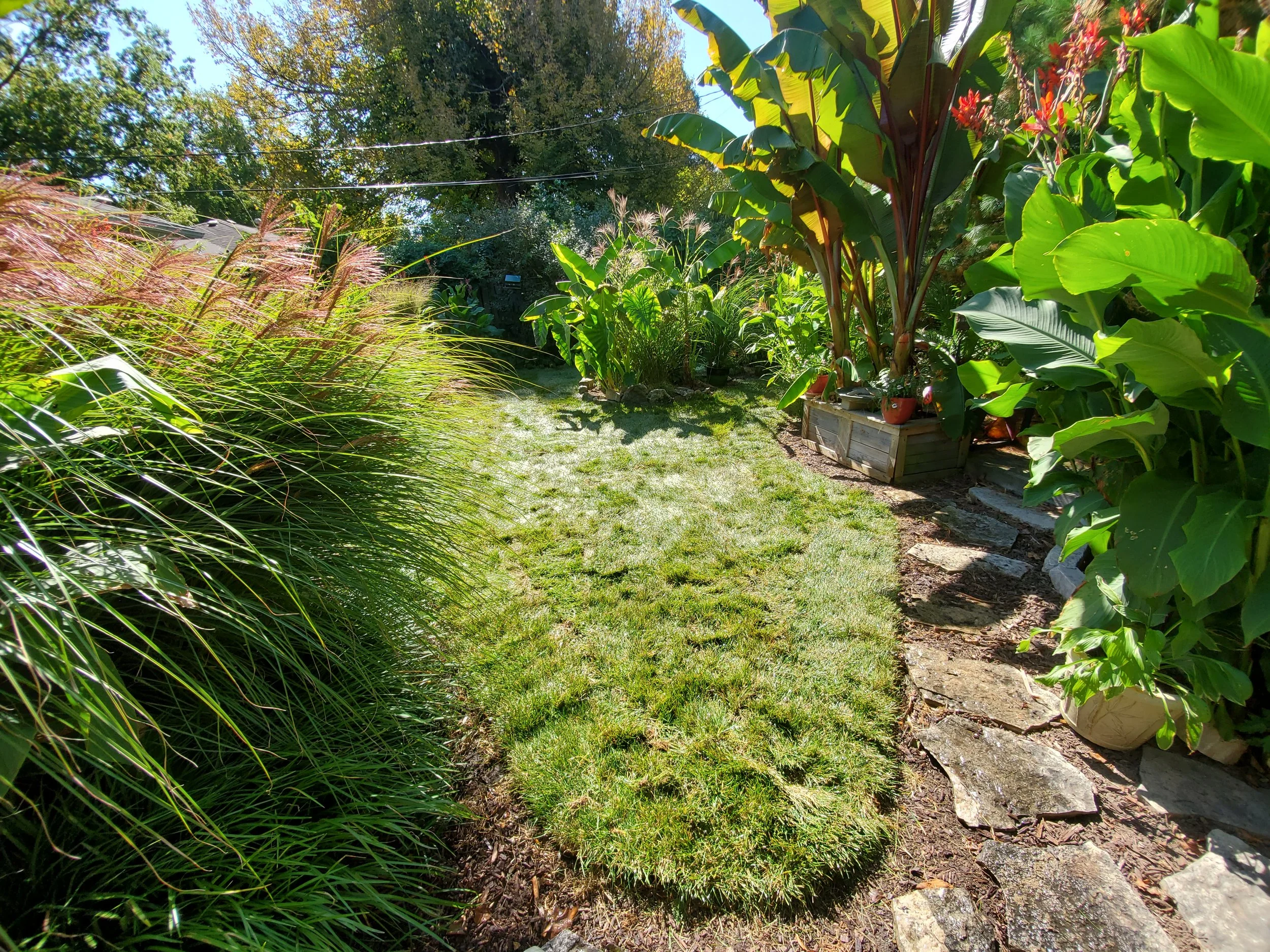 20201008_121842.jpg