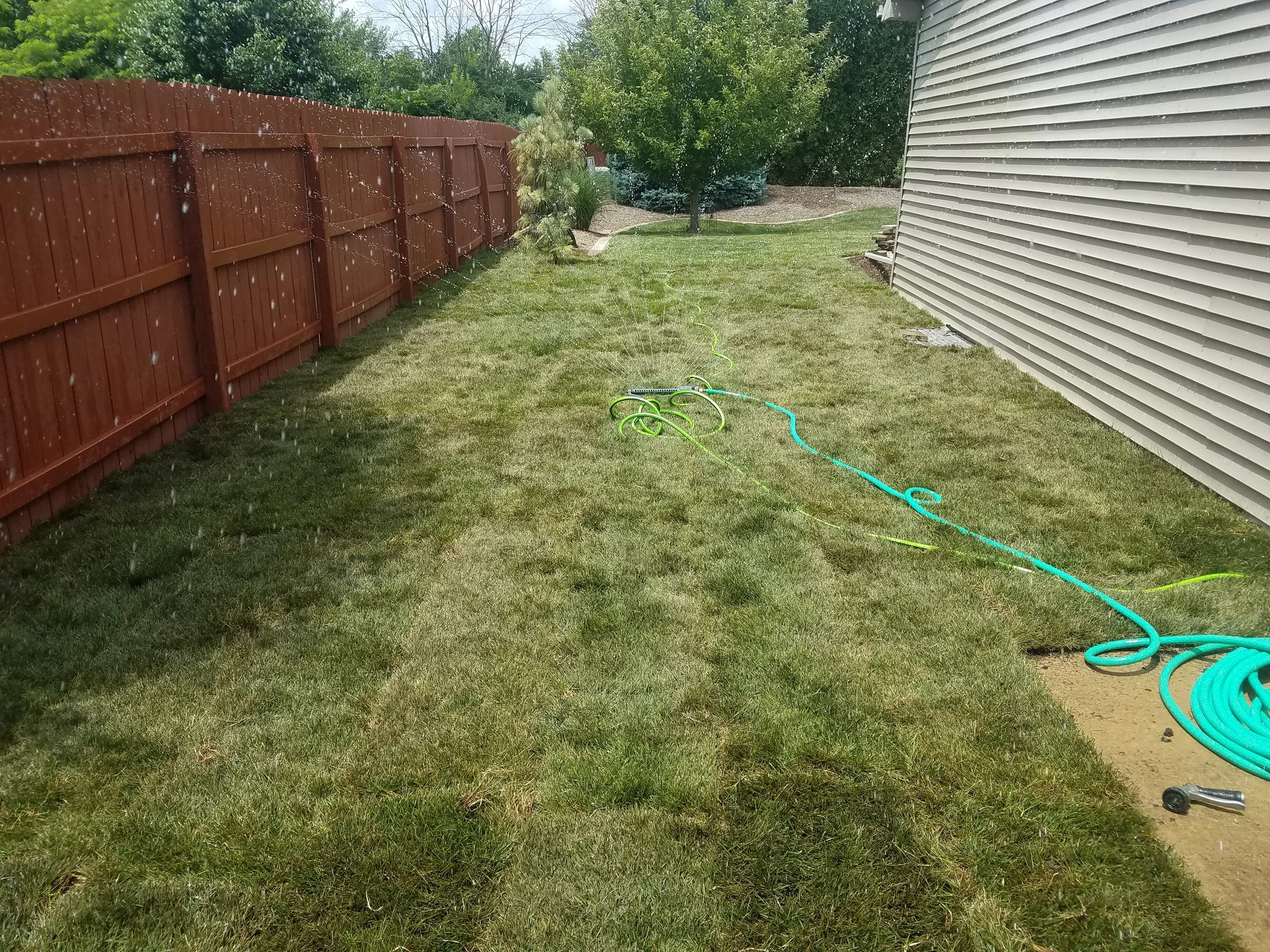 20180619_121126.jpg