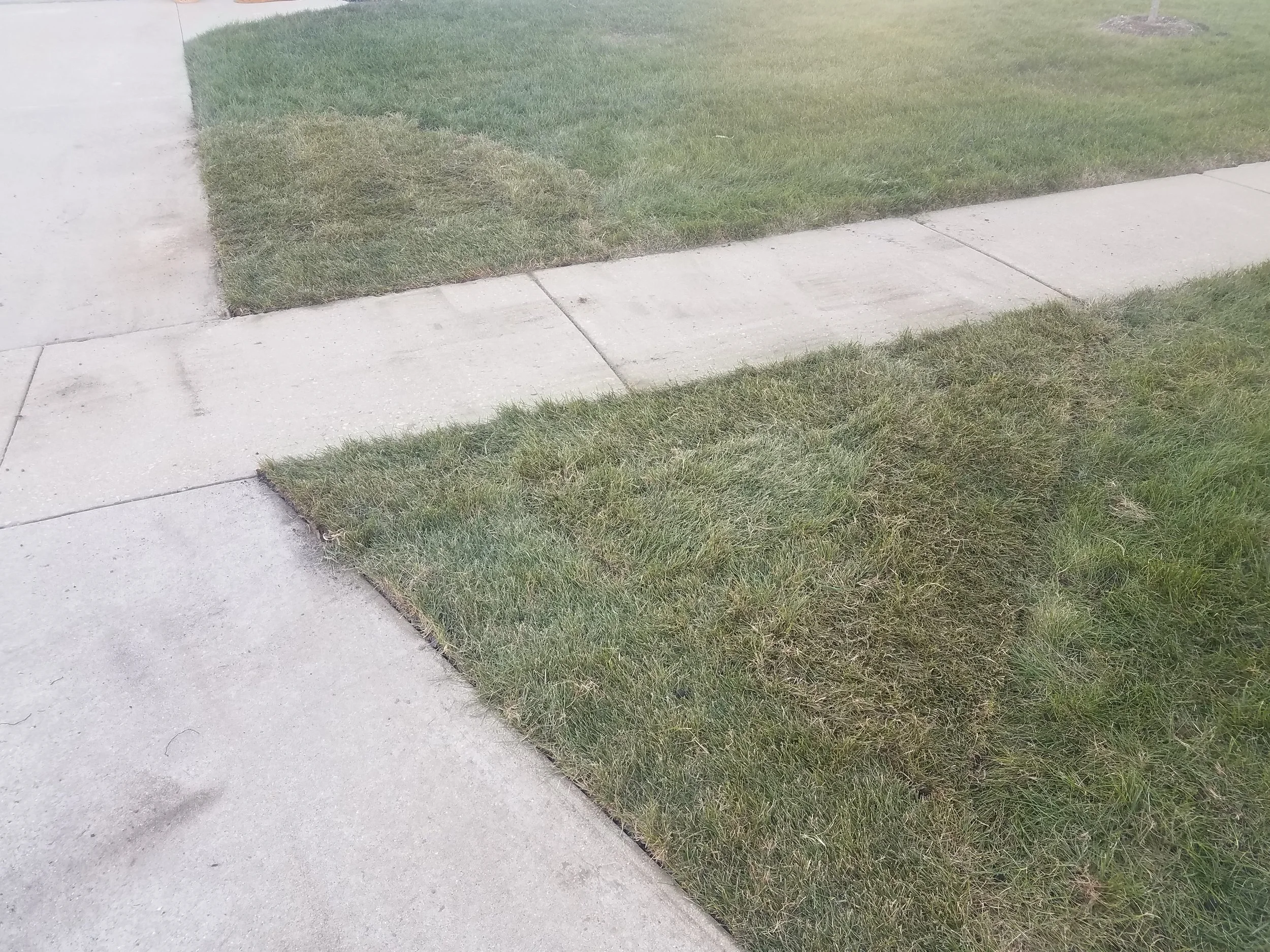 20181018_170101.jpg
