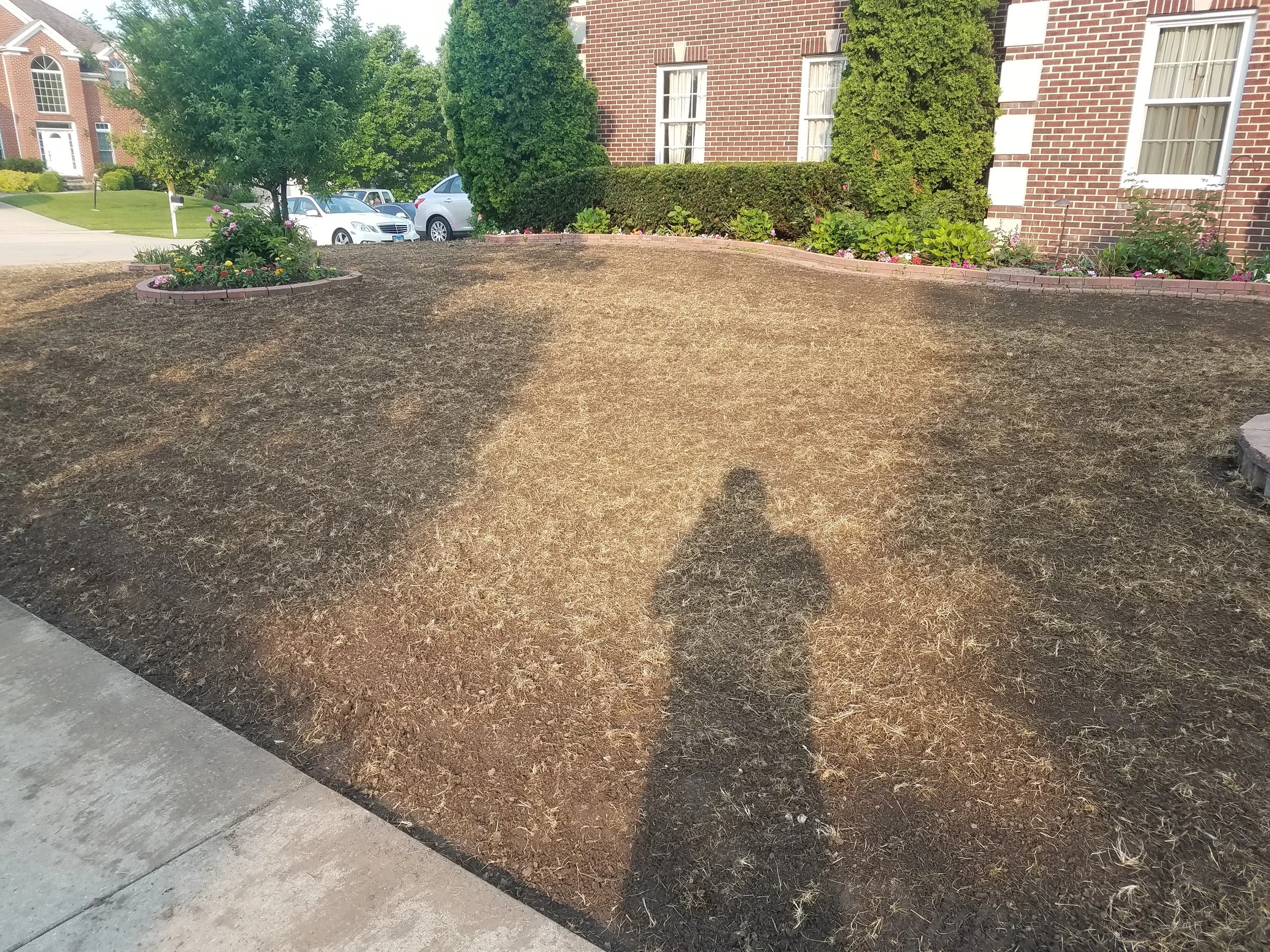 20190601_071959.jpg