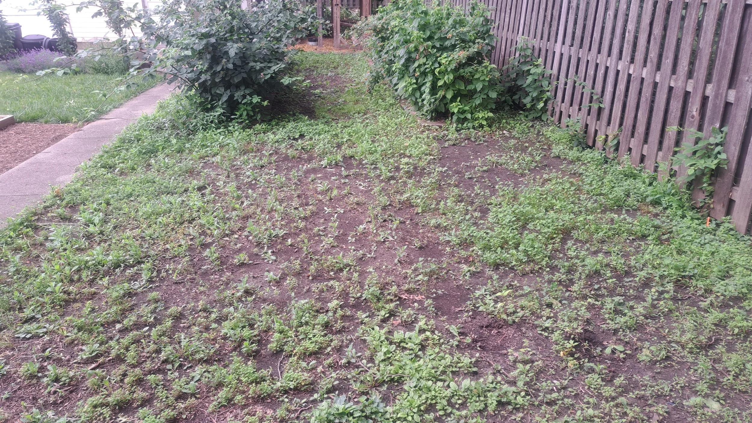 20250620_105543.jpg