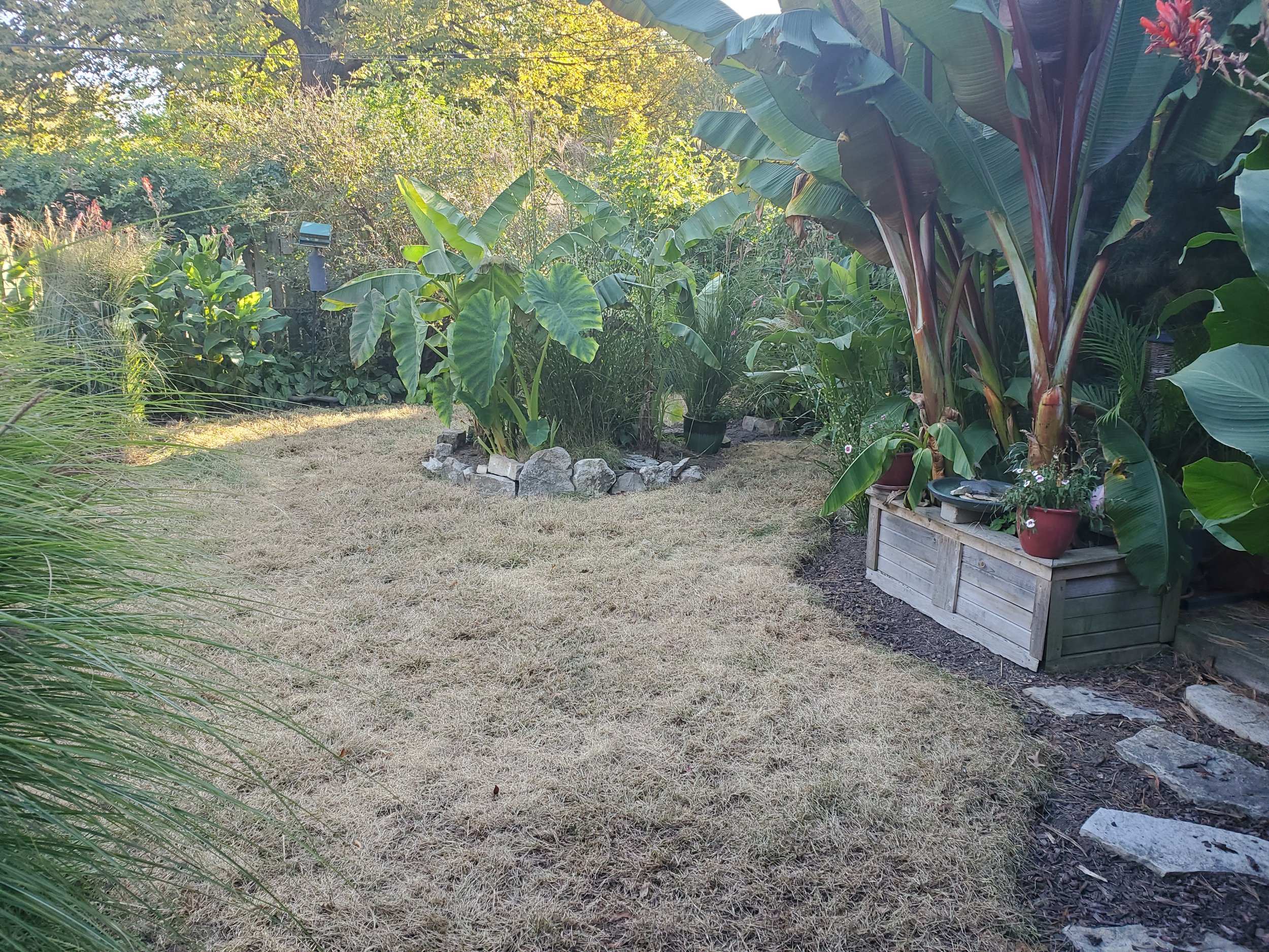 20201007_162836.jpg