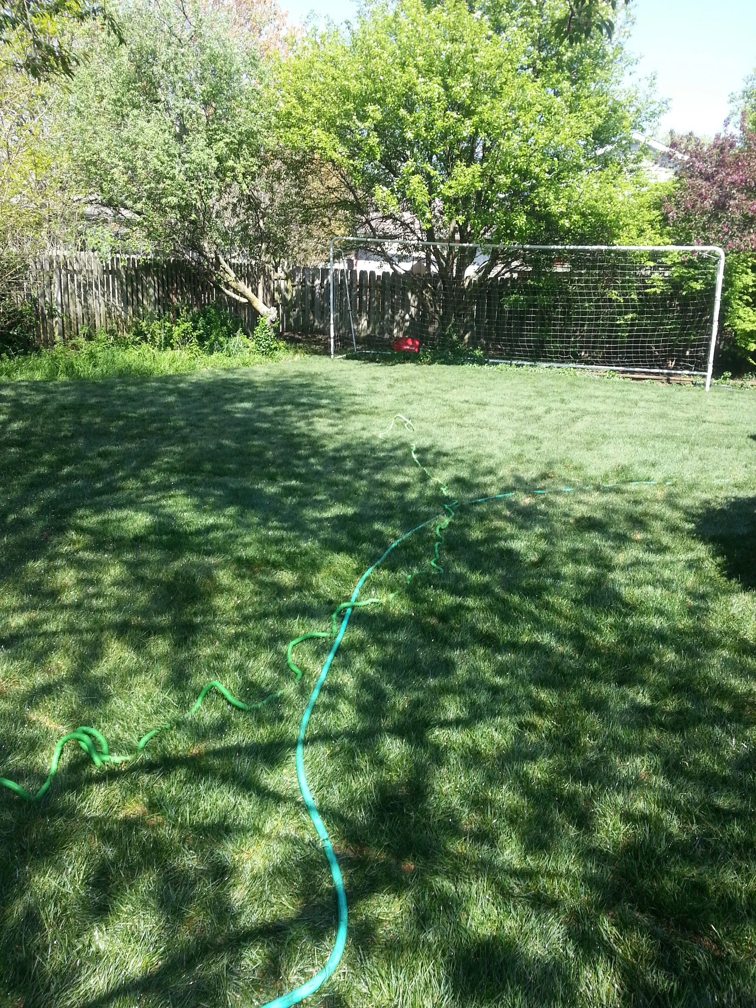 20160423_151110.jpg
